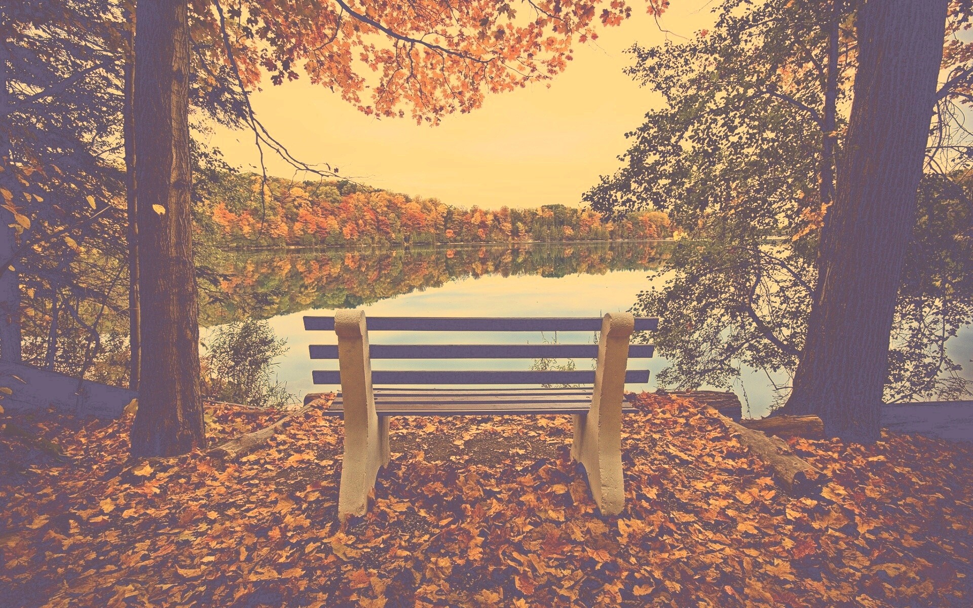 Вид на осеннее озеро обои