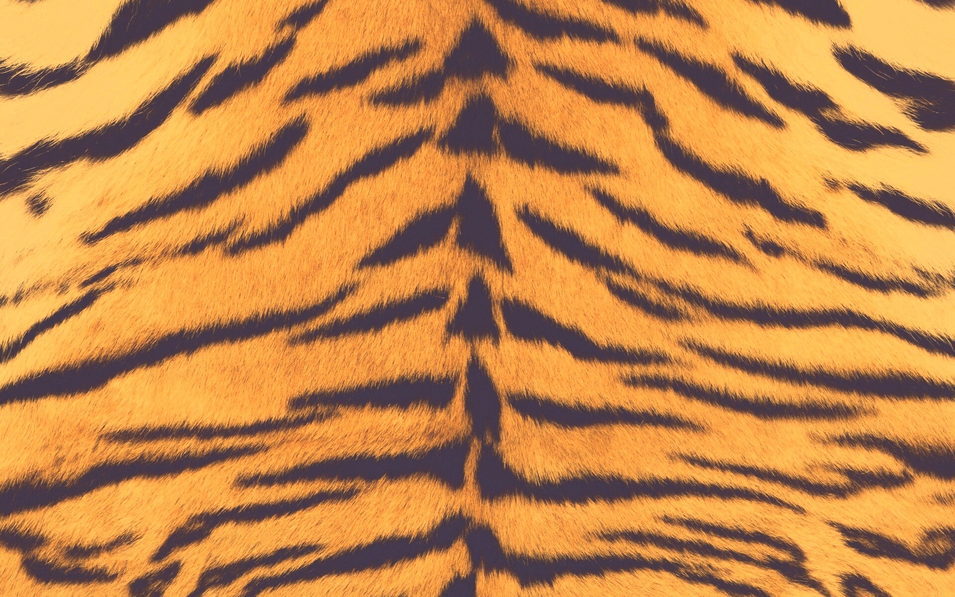 Тигриная шкура обои