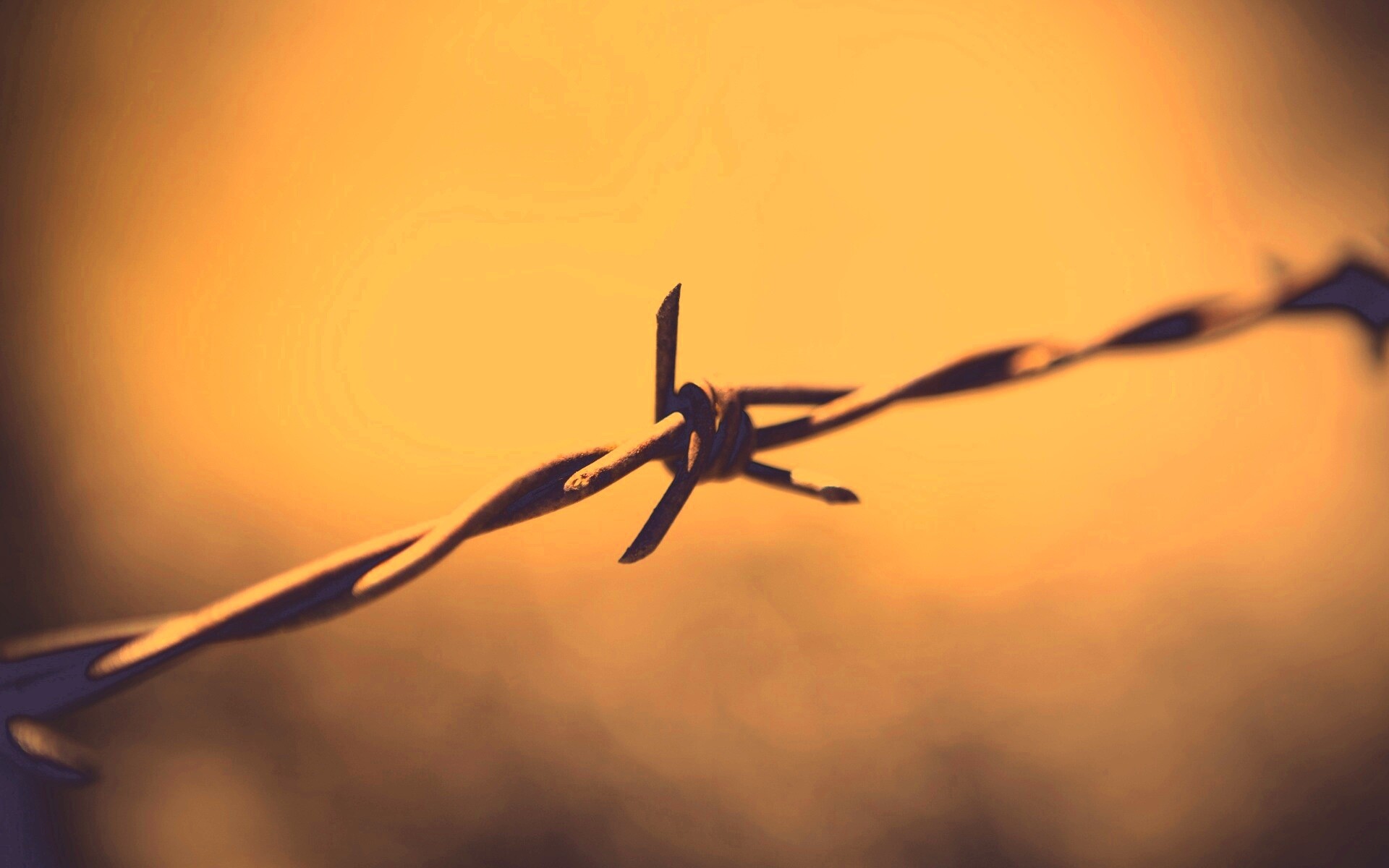 Фото колючей проволоки обои