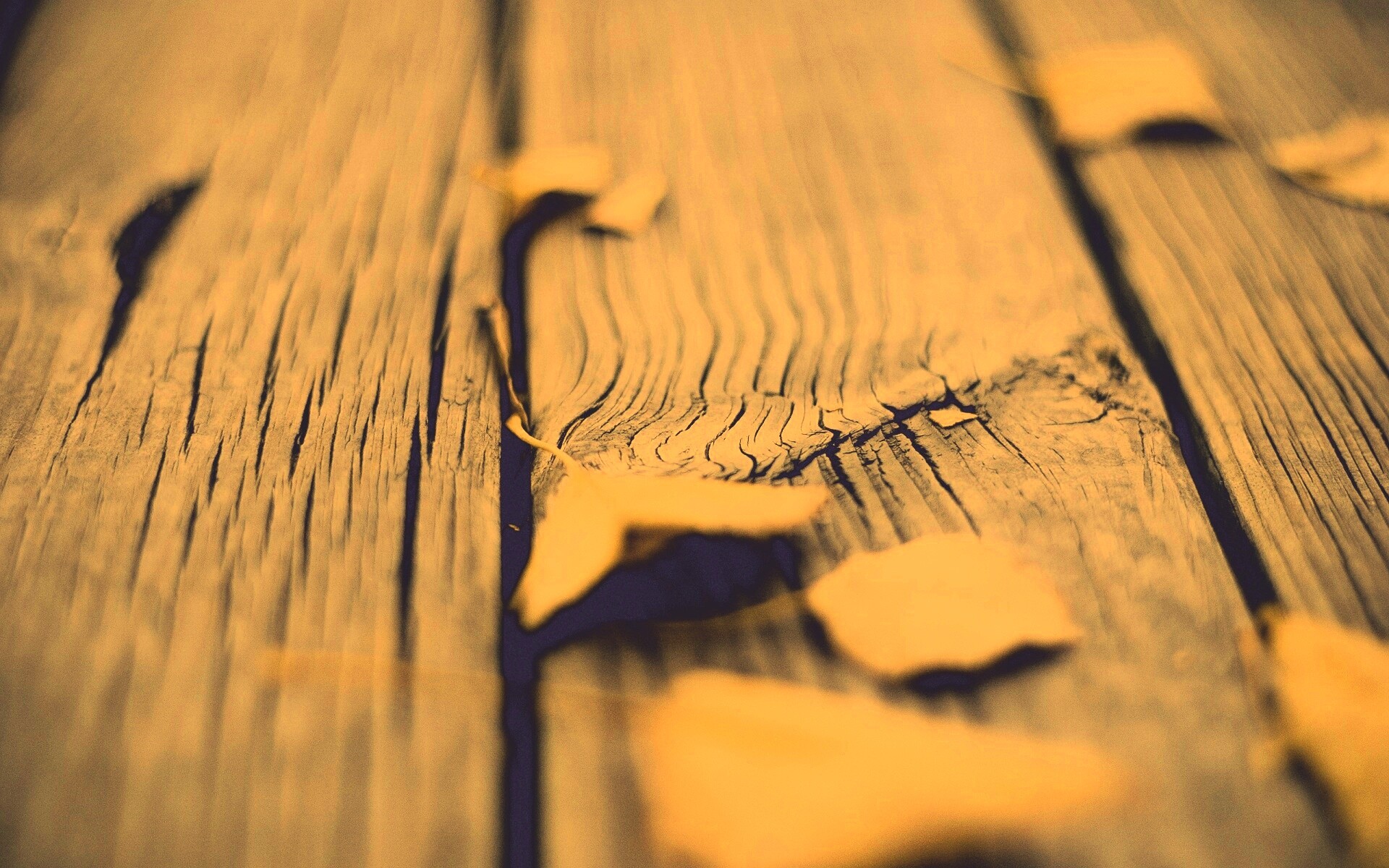 Листья на дощатом полу обои