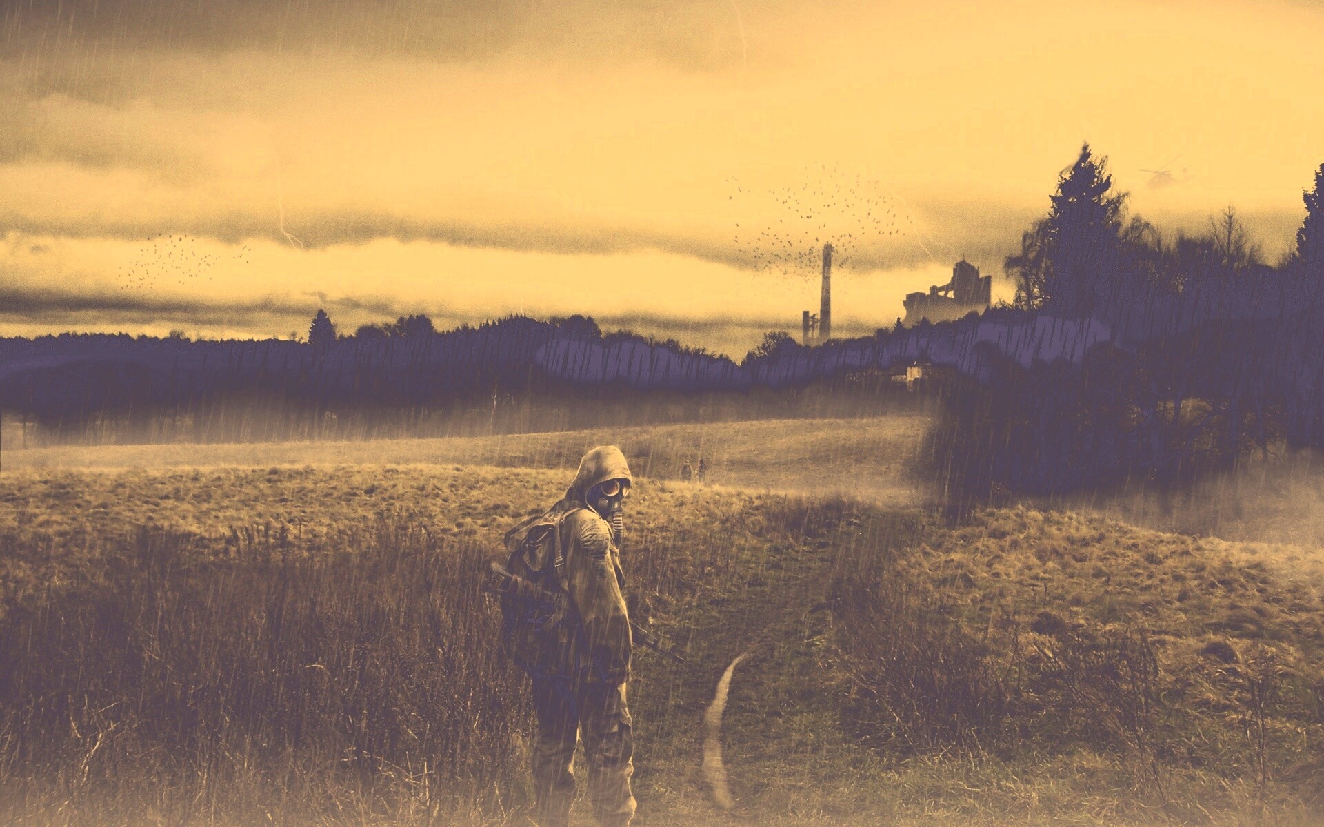 Сталкер под дождем обои