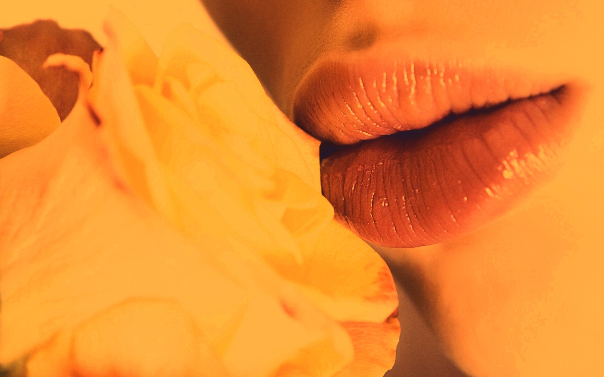 Губы девушки и роза обои