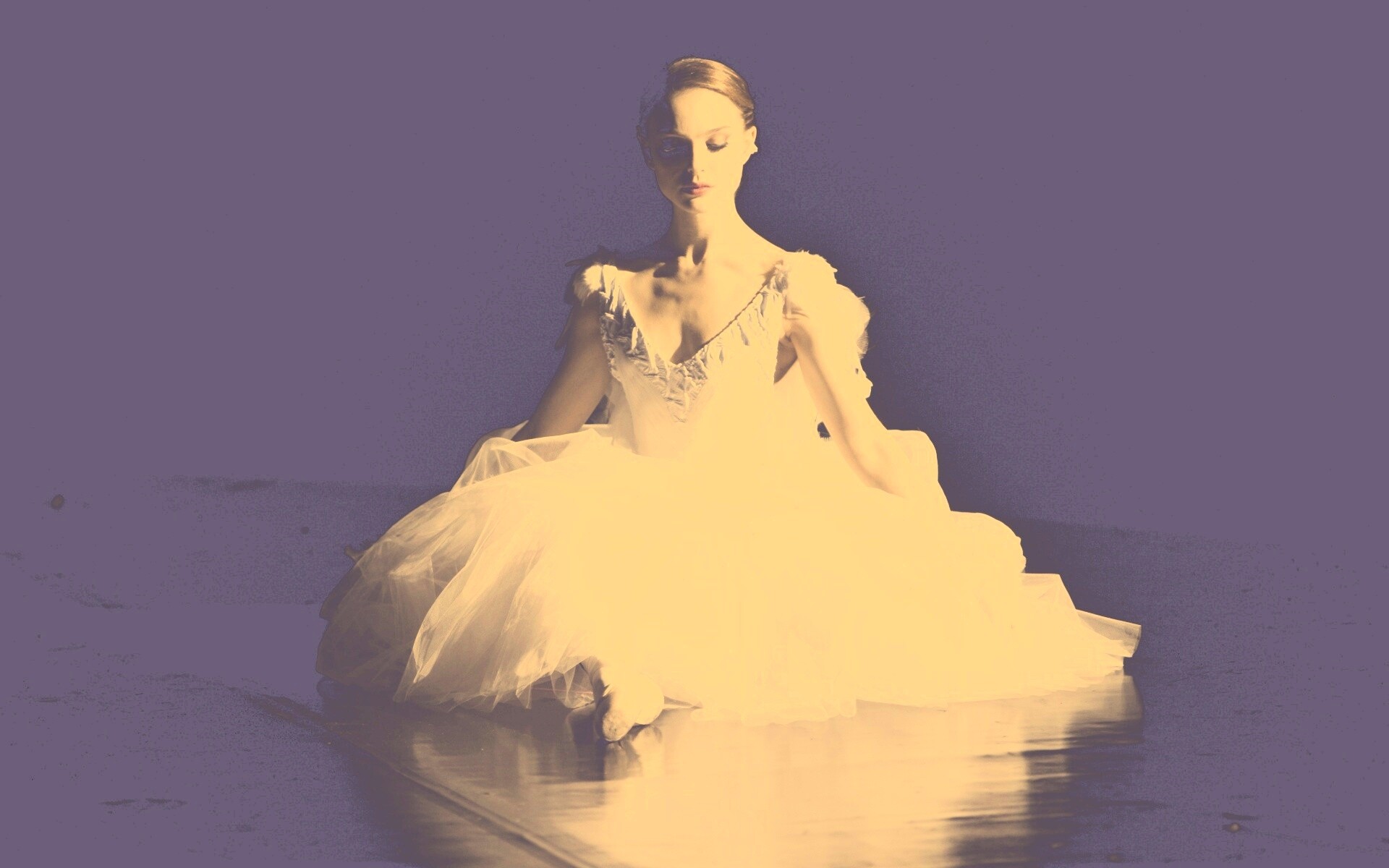 Черный лебедь обои