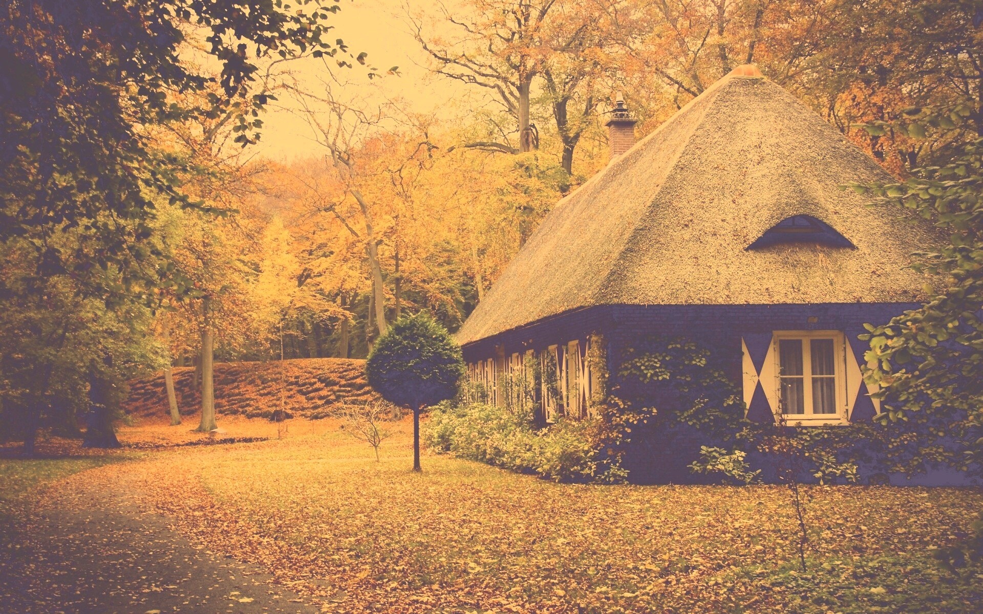 Домик в осеннем лесу обои
