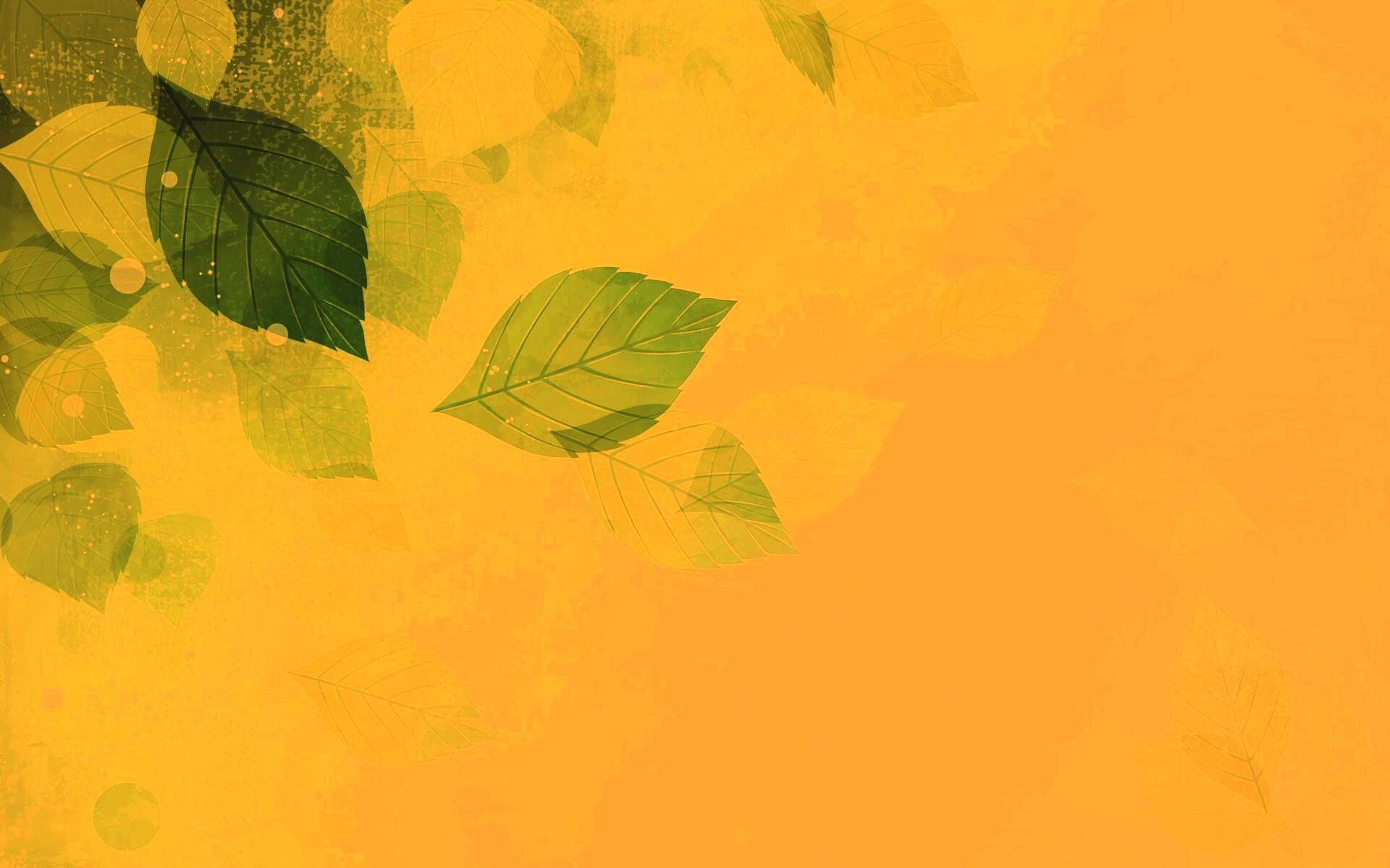 Прозрачные листья обои