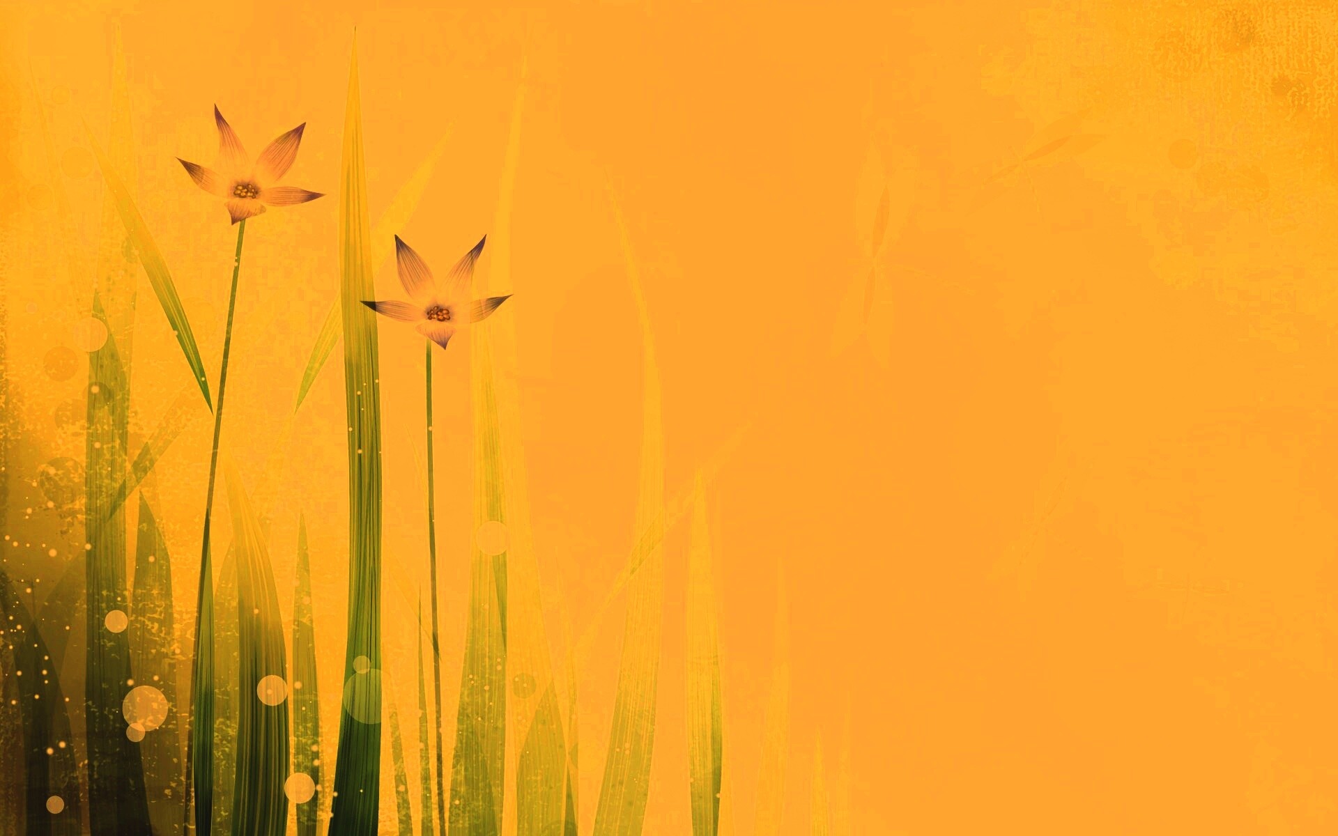 Векторные цветы обои