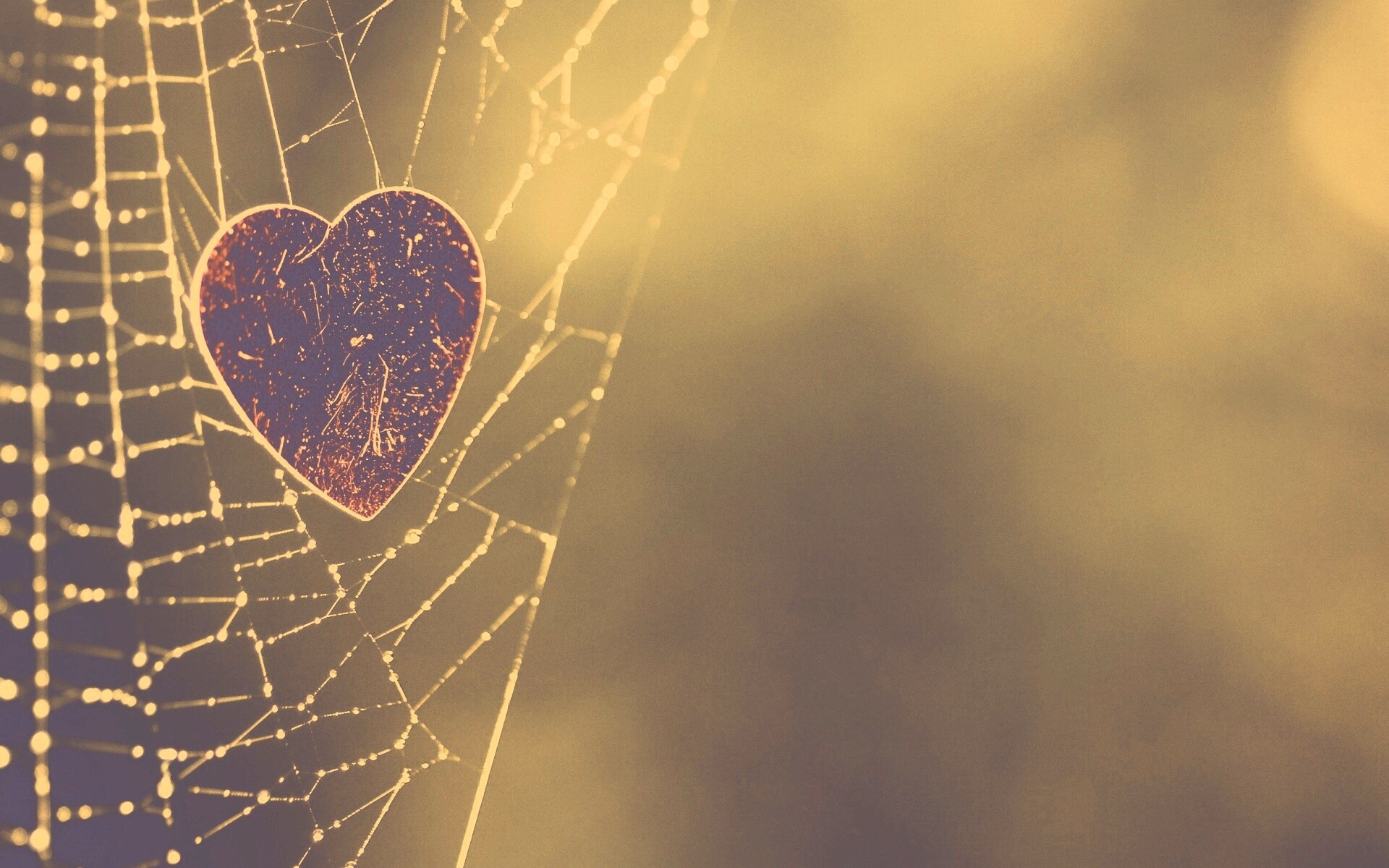 Запутавшаяся любовь.. обои