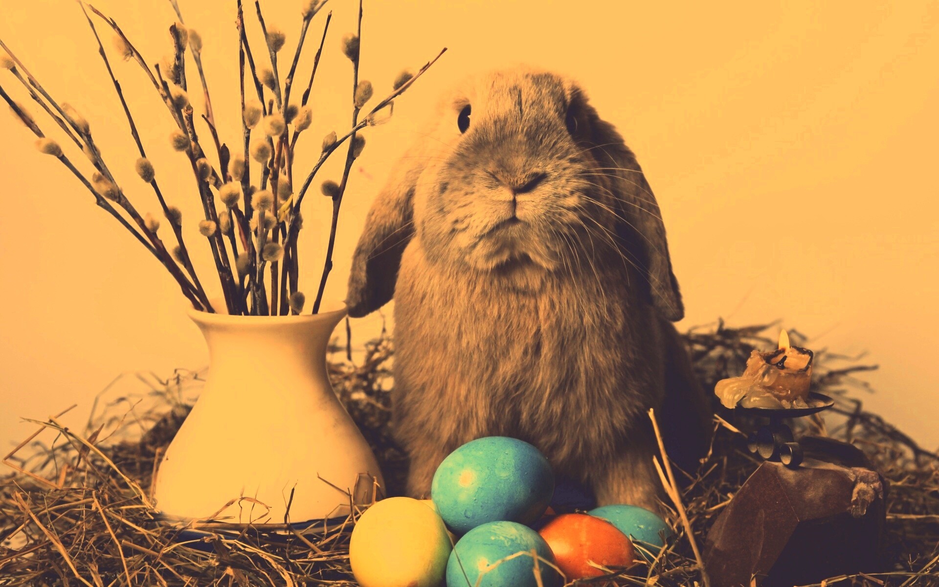 Пасхальный кролик обои