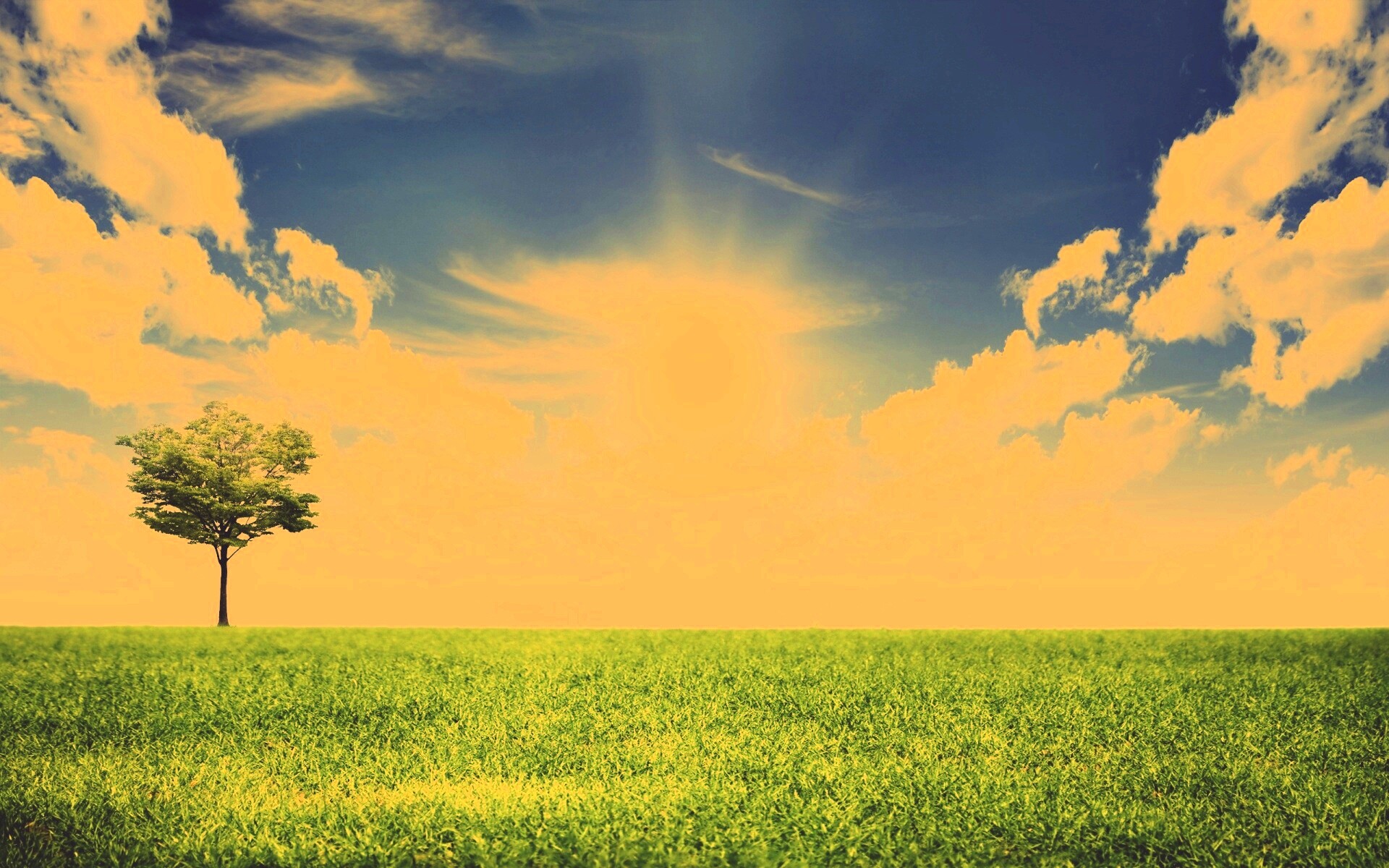 Один в целом мире обои