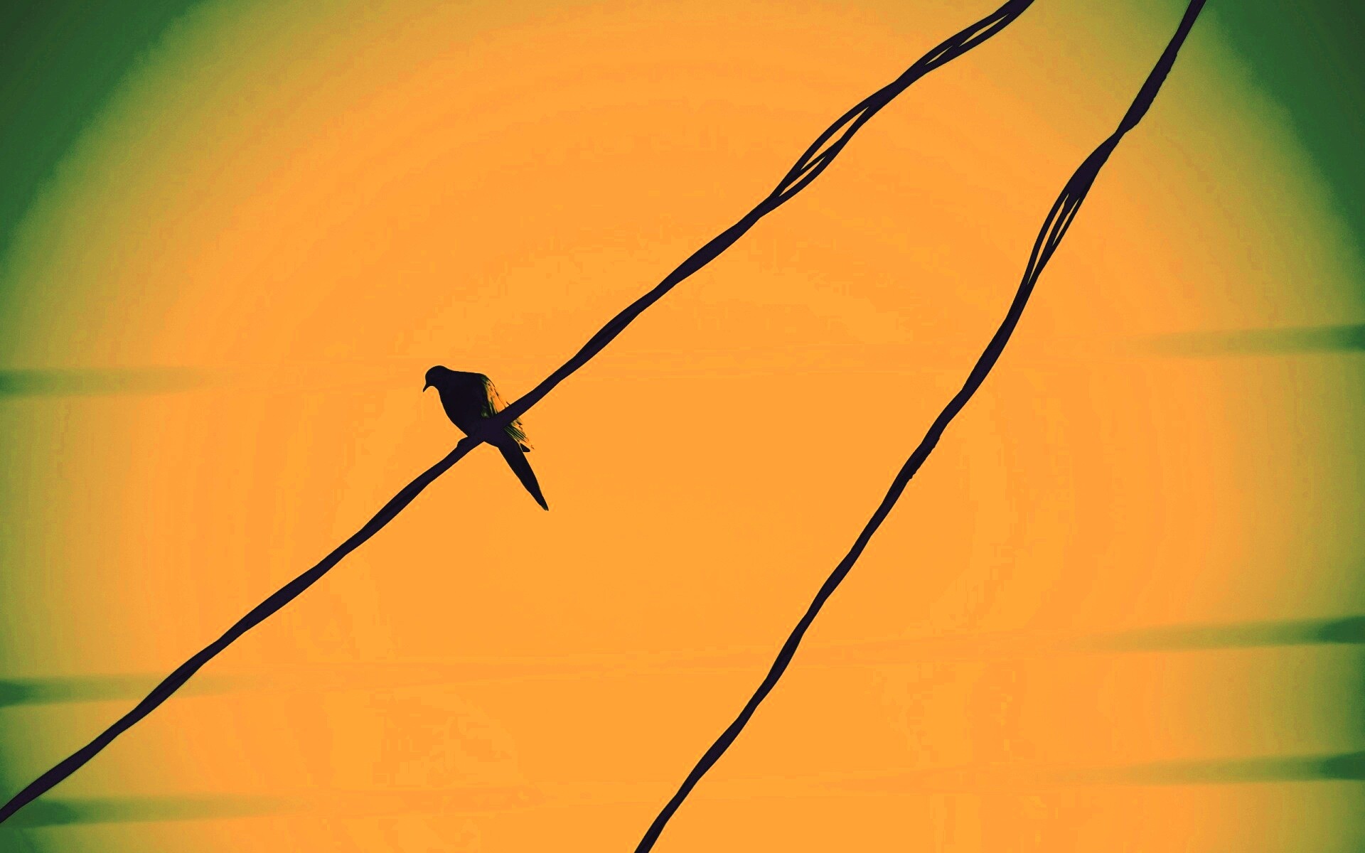 Птица на проводе обои