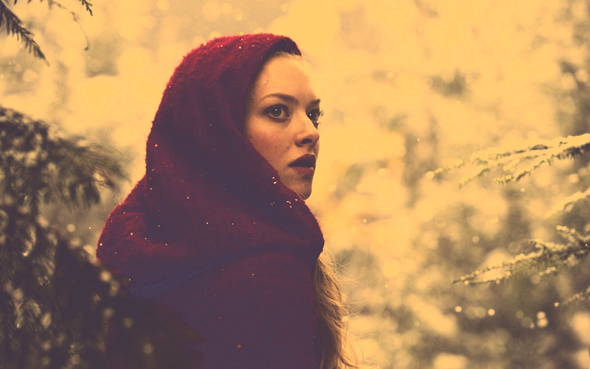 Amanda Seyfried in Red Riding Hood обои