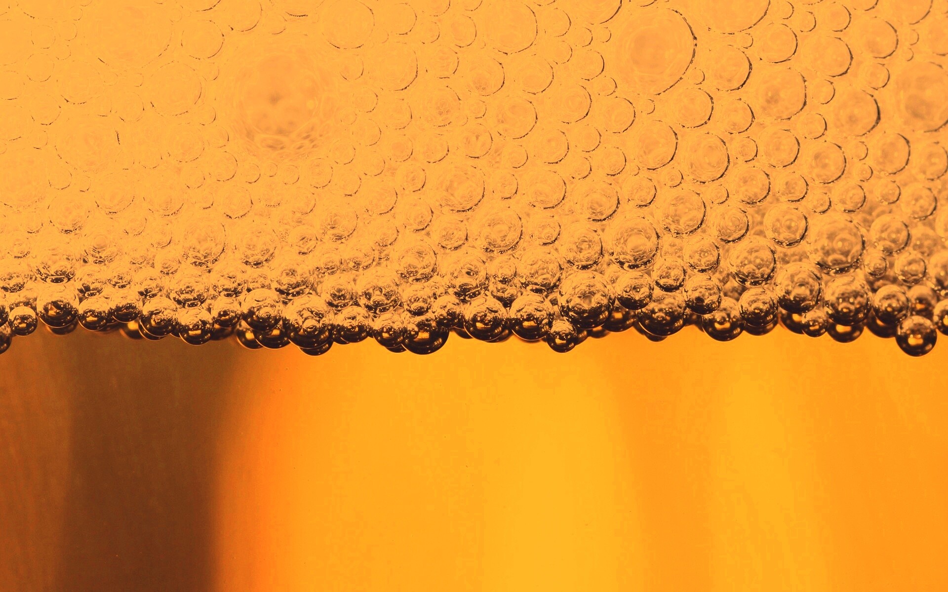 Пенное пиво в макро обои