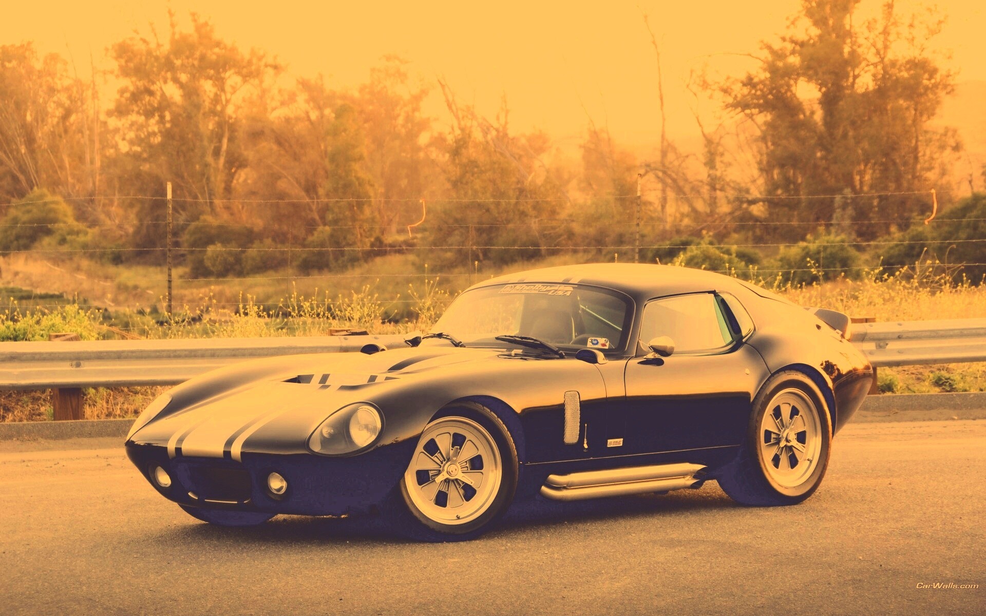 Shelby Daytona обои