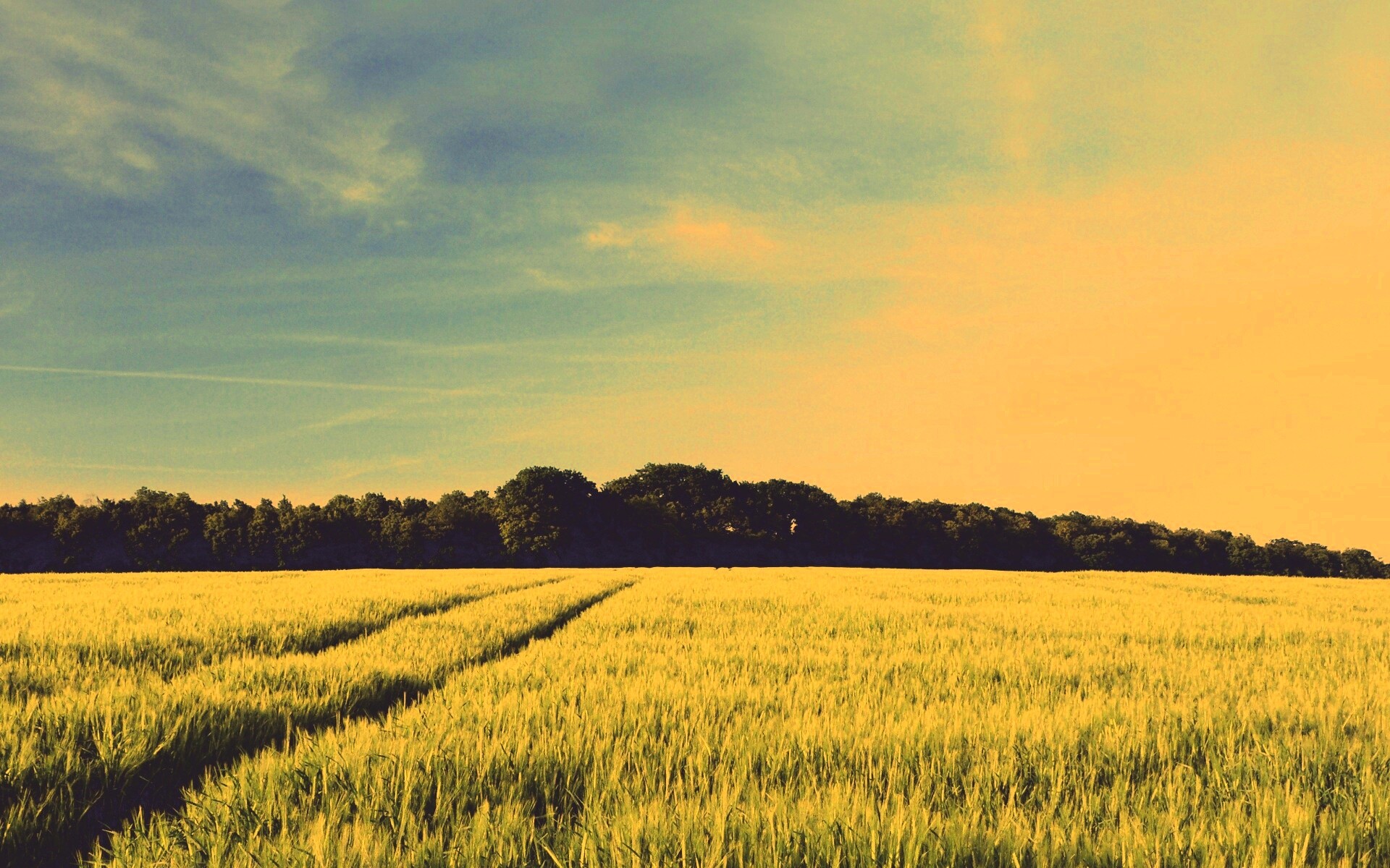 Следы колеи в поле обои