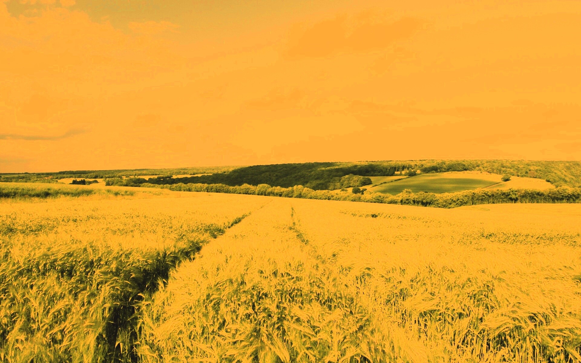 Бескрайние просторы обои