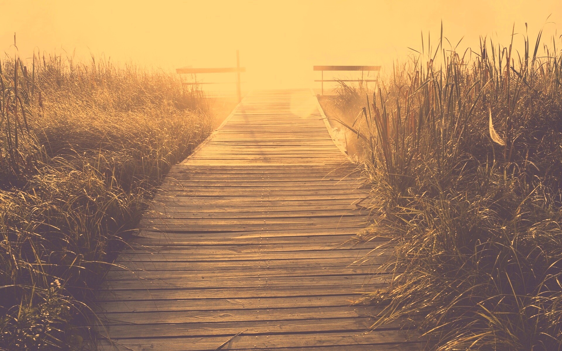 Выход к реке обои