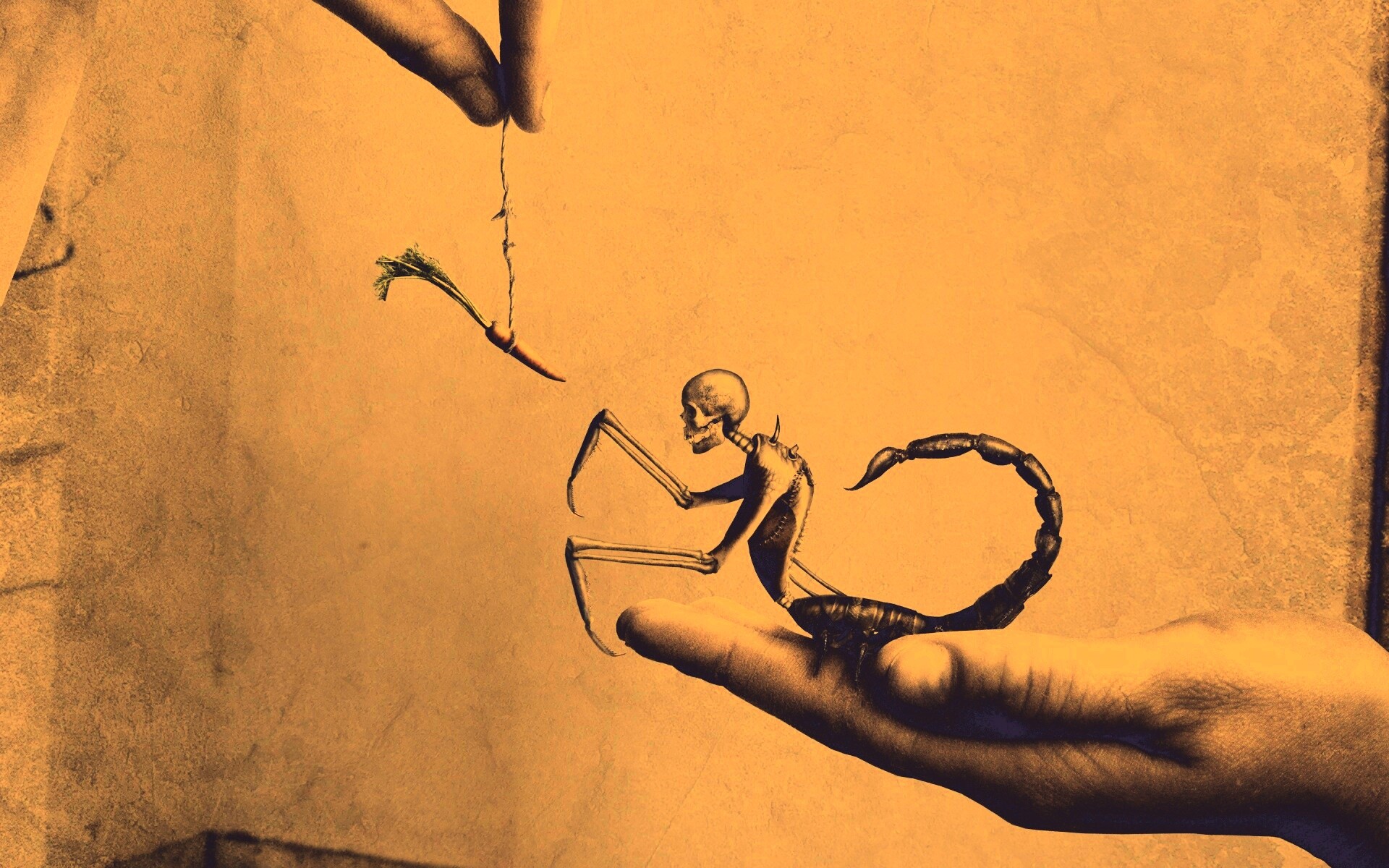 Кормёжка смерти обои