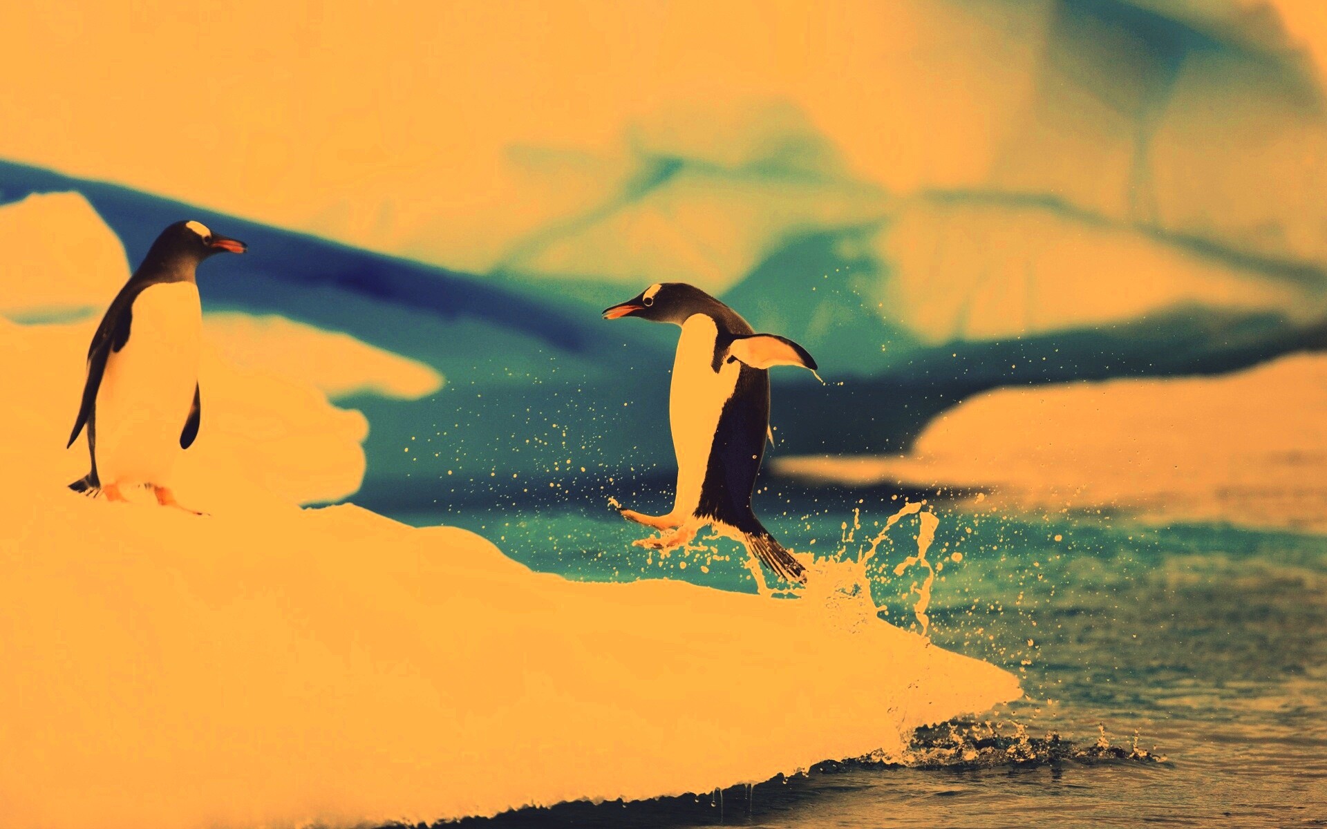 Пигвин запрыгивает на льдину обои