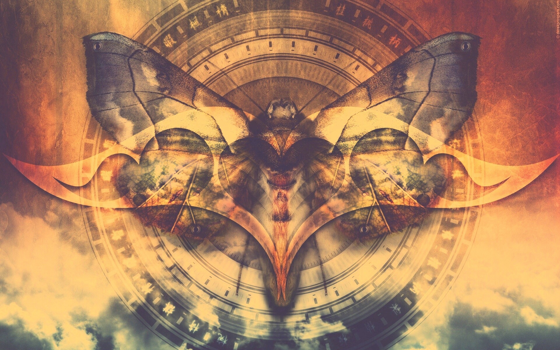 Красивая фэнтезийная бабочка обои