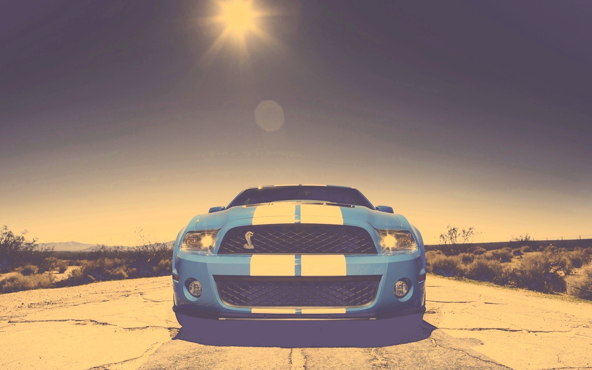 Форд Шелби обои