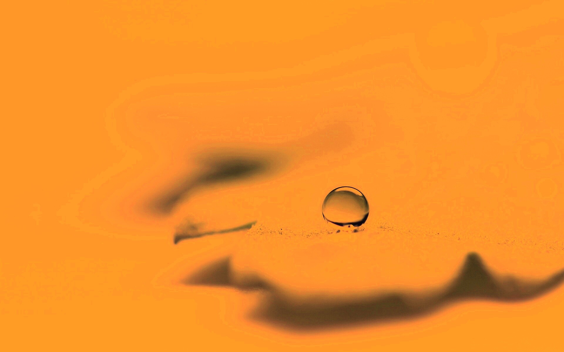 Капля на замёрзжем листе обои