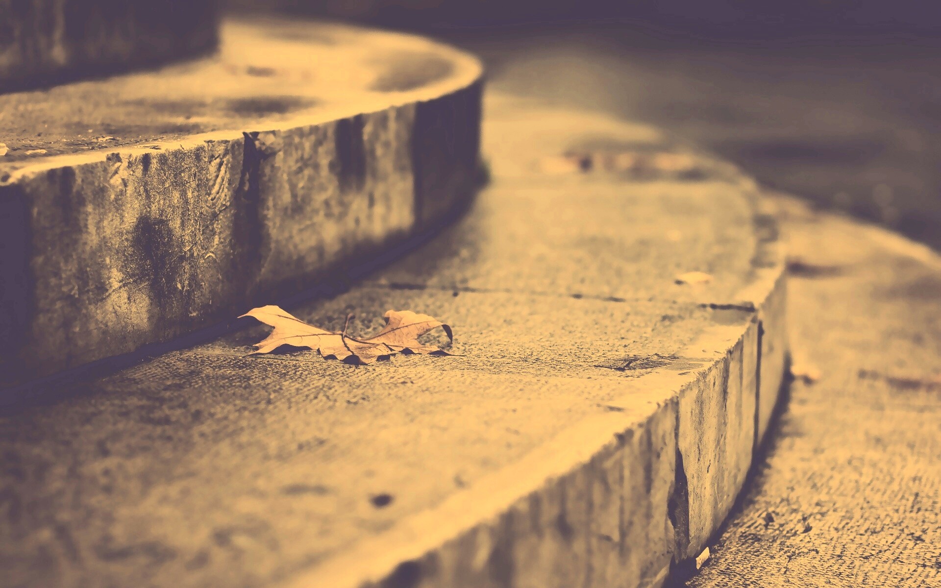 Лист на ступеньках обои