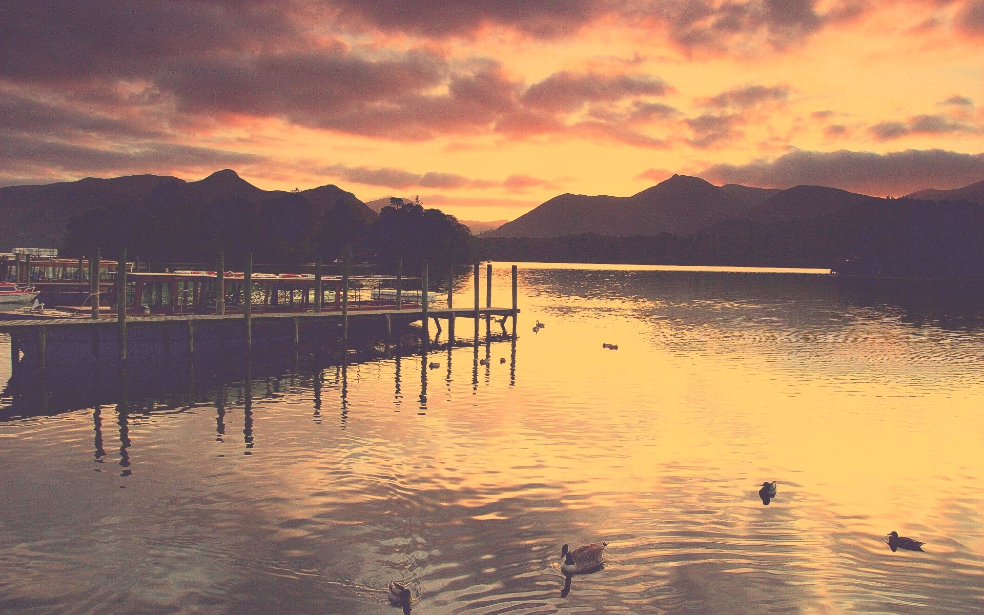 Причал на озере и утки обои