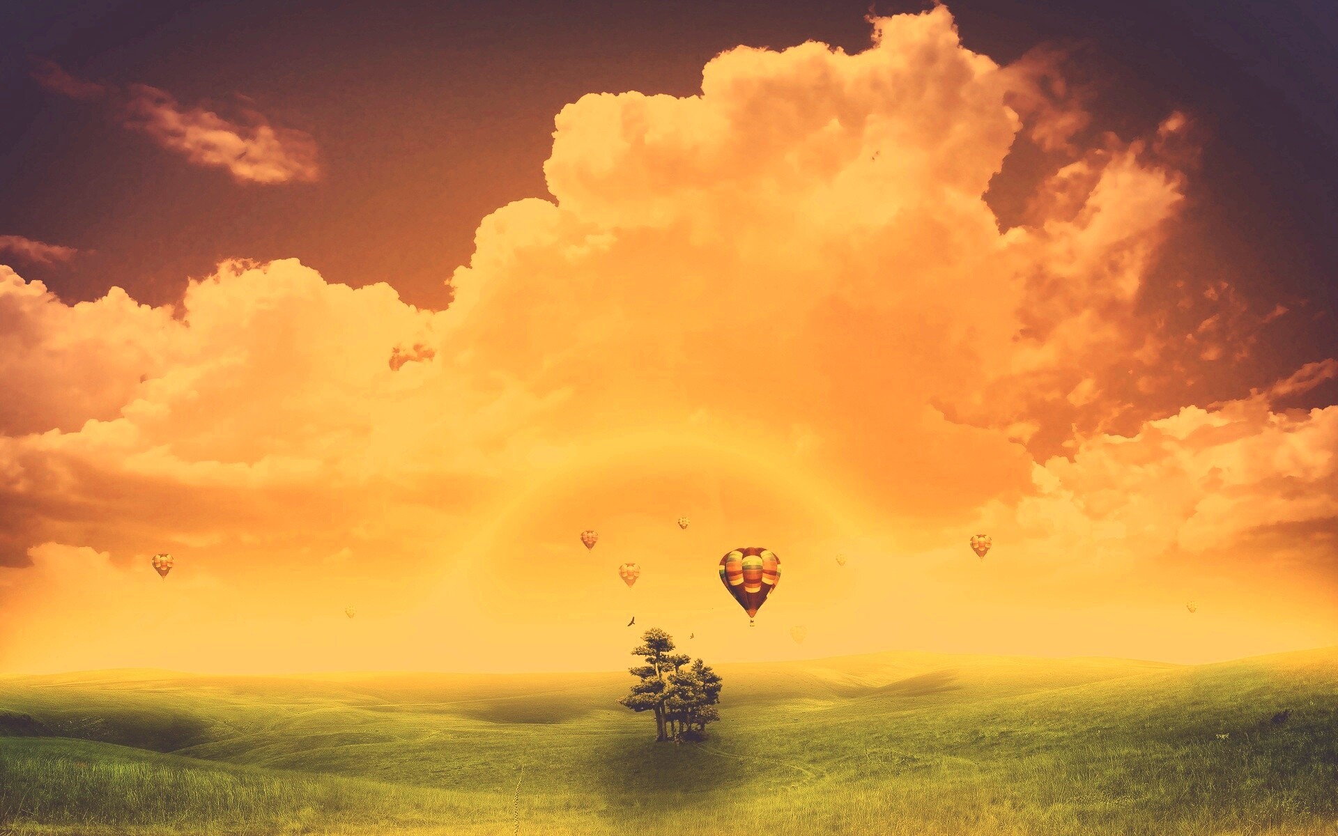 Мечты о полёте обои