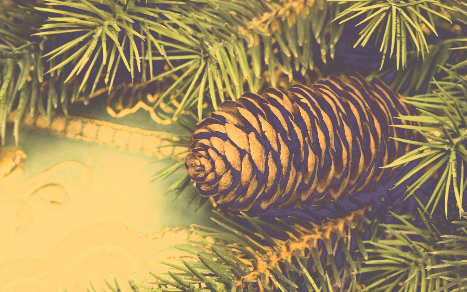 Шишка на елке обои