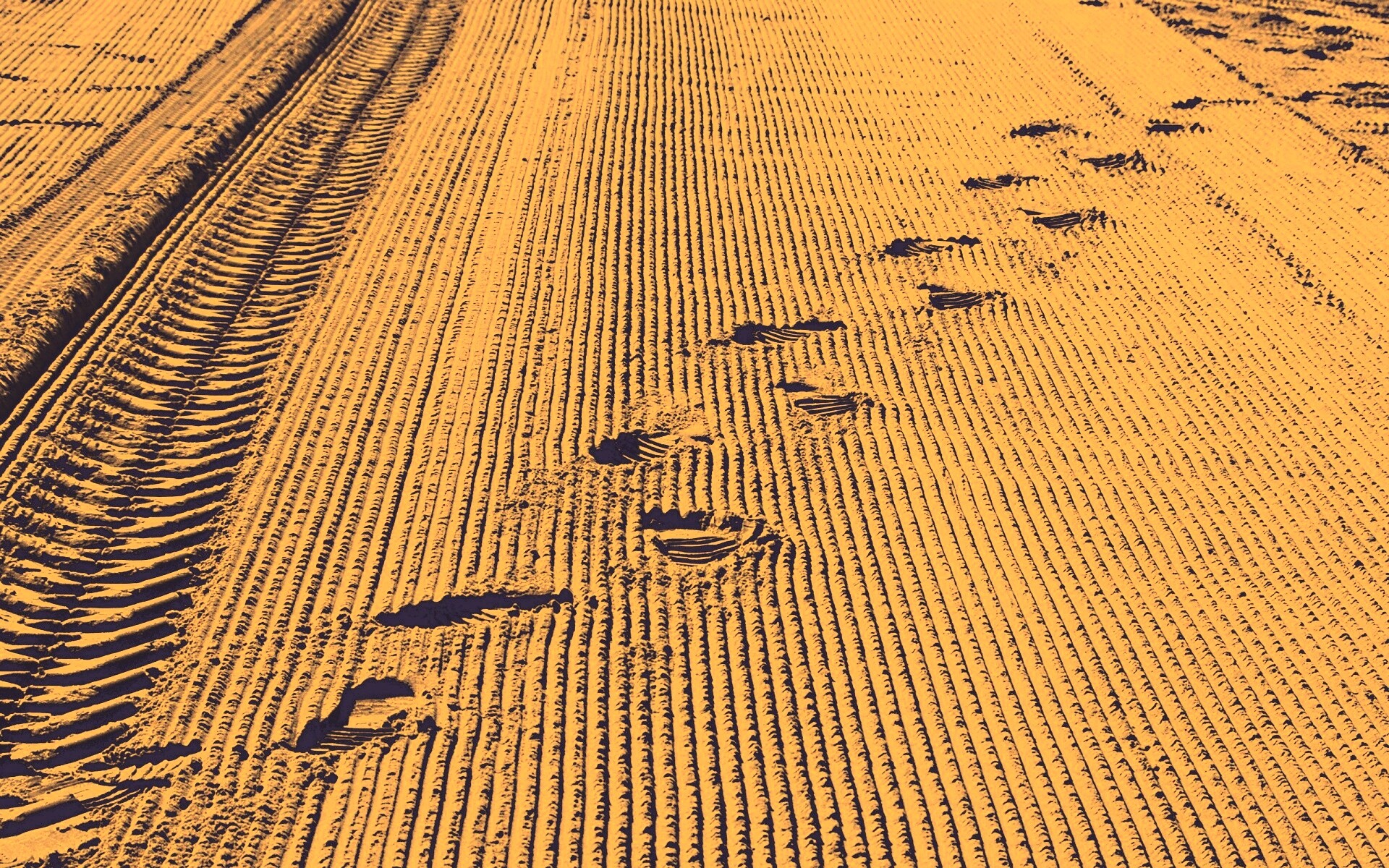 Следы на песке обои