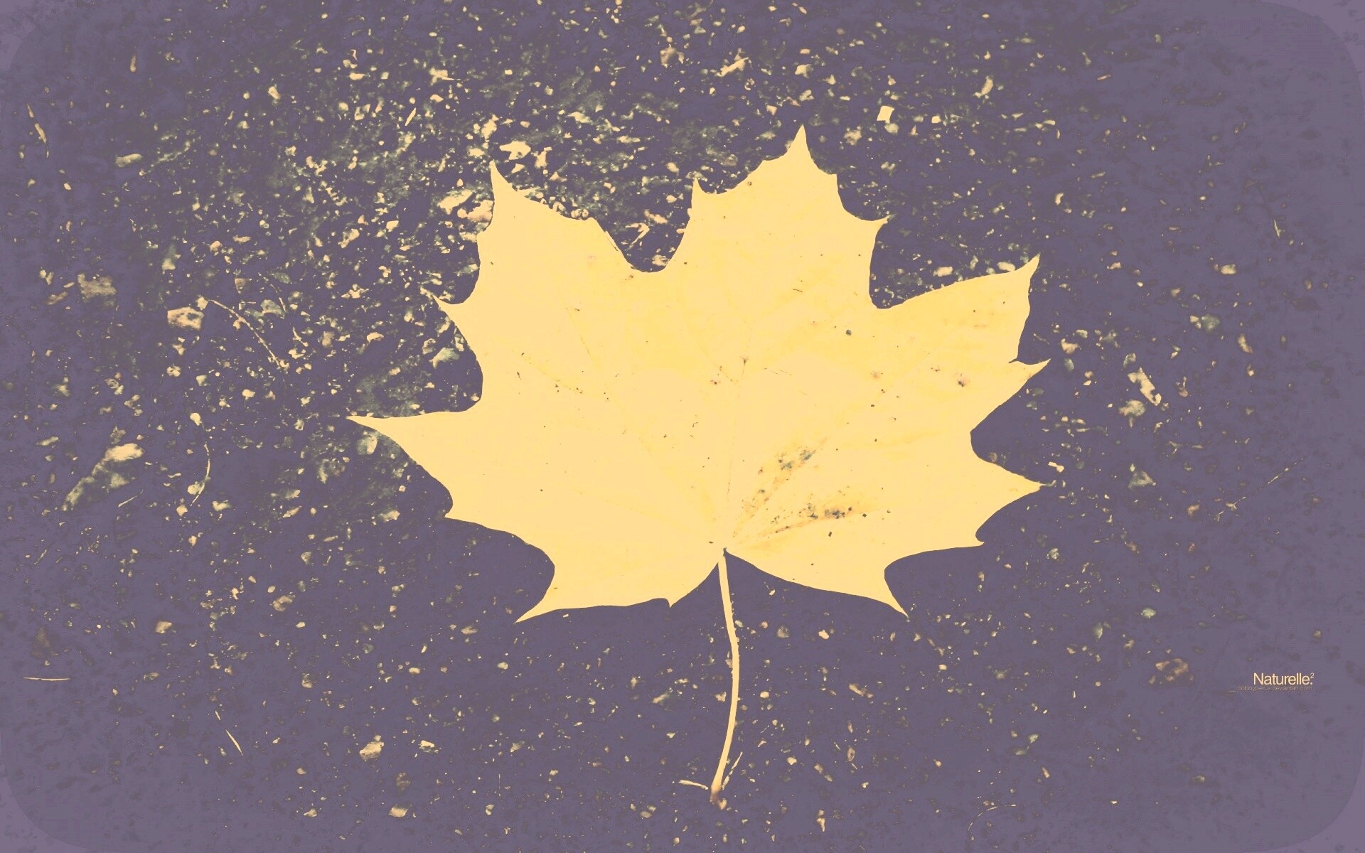 Желтый лист обои