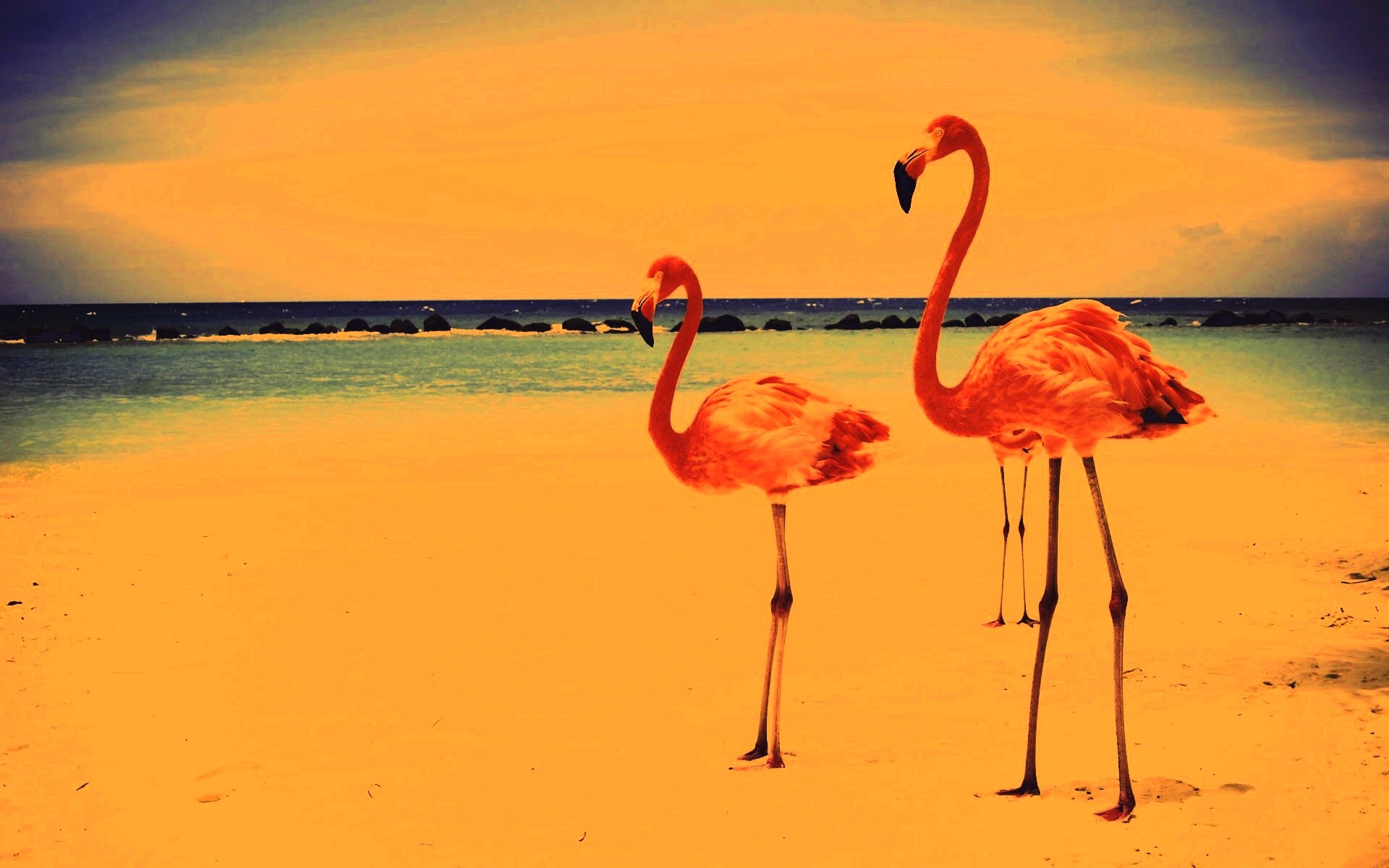 Розовые фламинго на пляже обои