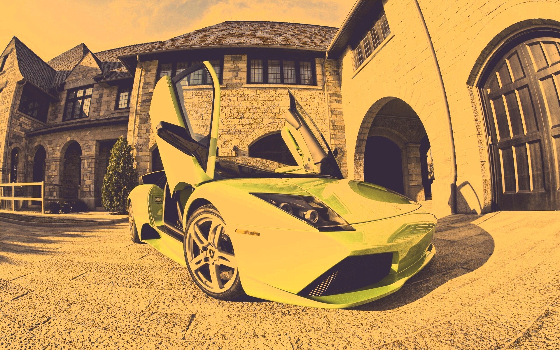 Зеленая ламба обои