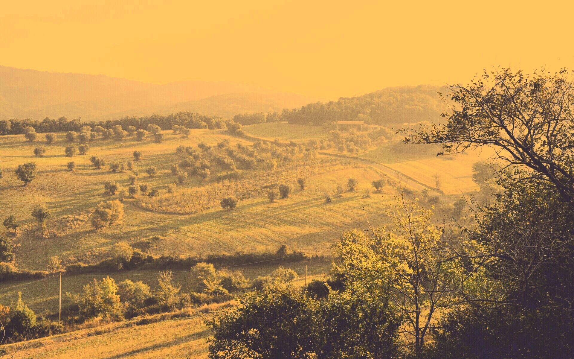 Ферма в долине обои