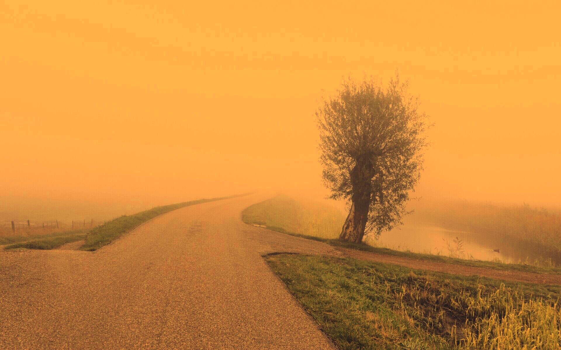 Дорога растворяется в тумане обои