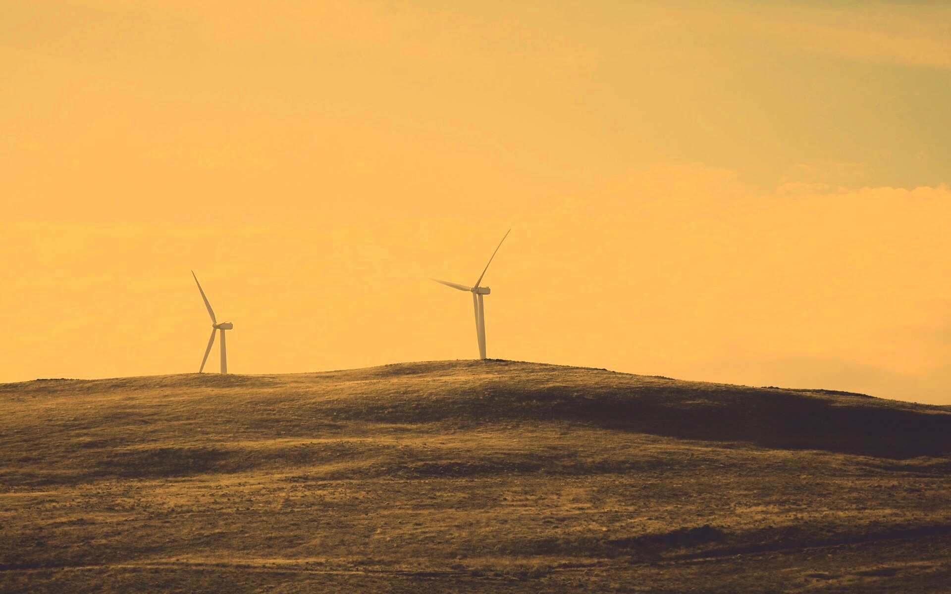 Ветряки в поле обои