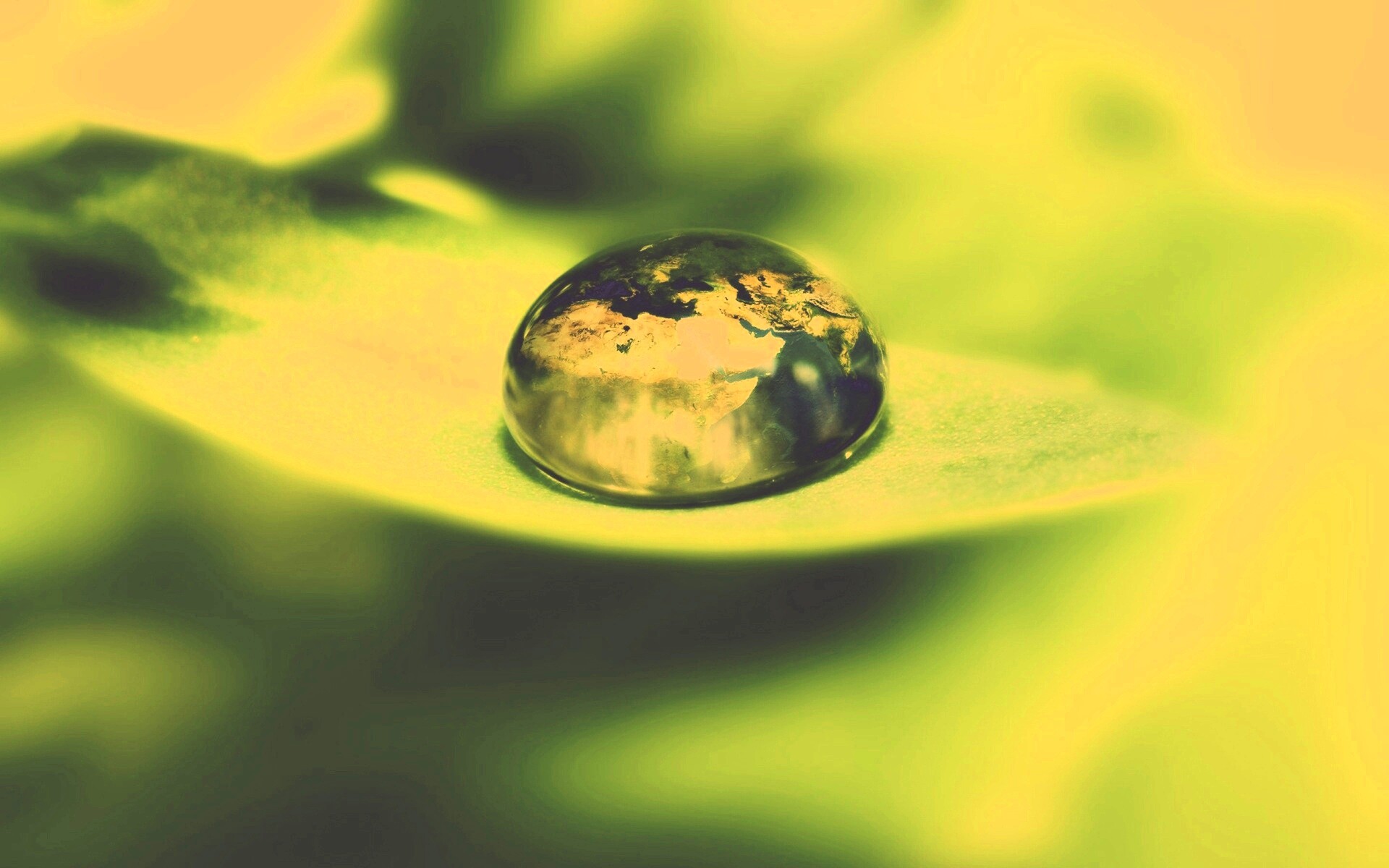 Целый мир в капле воды обои