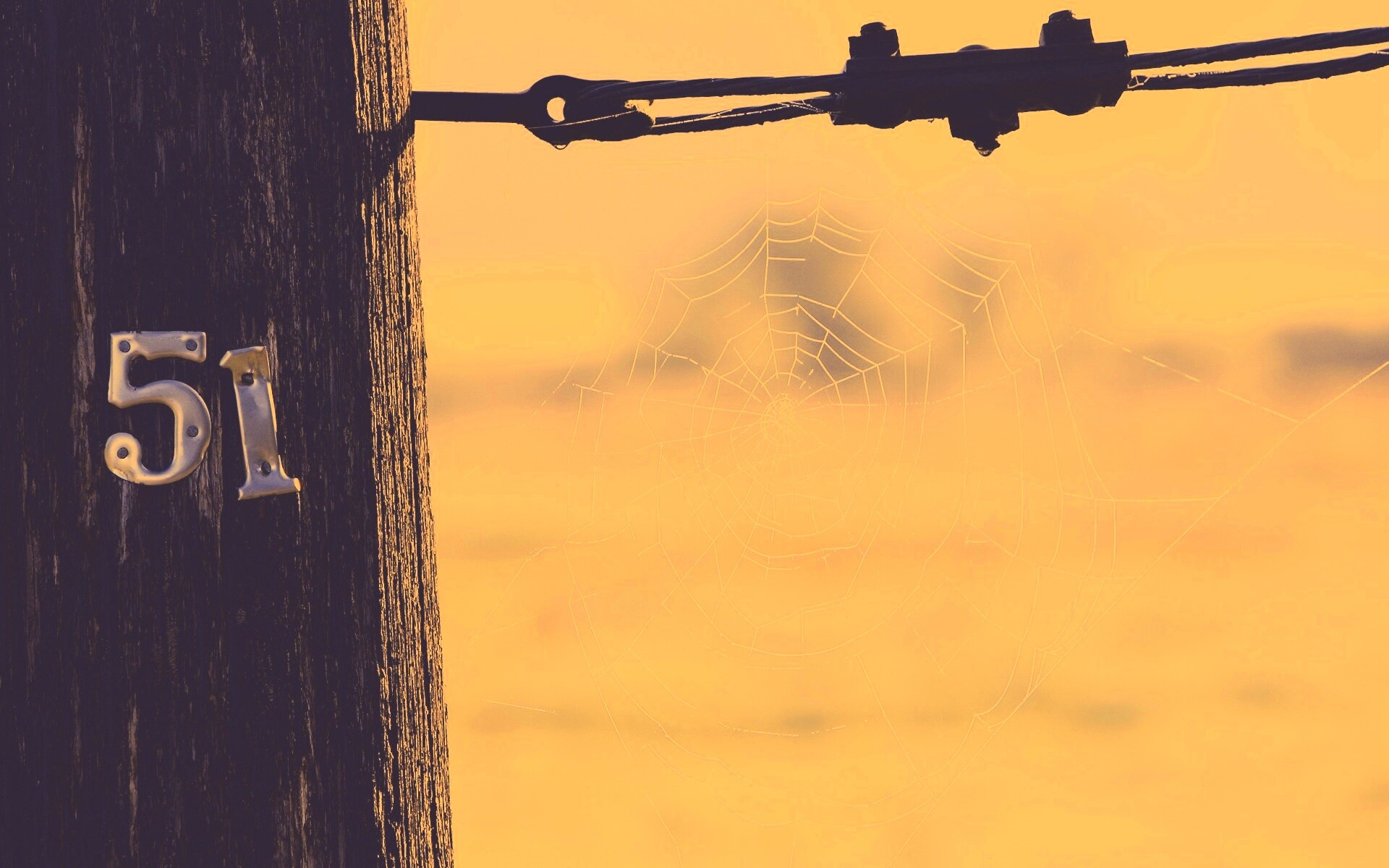 Паутина 51 обои