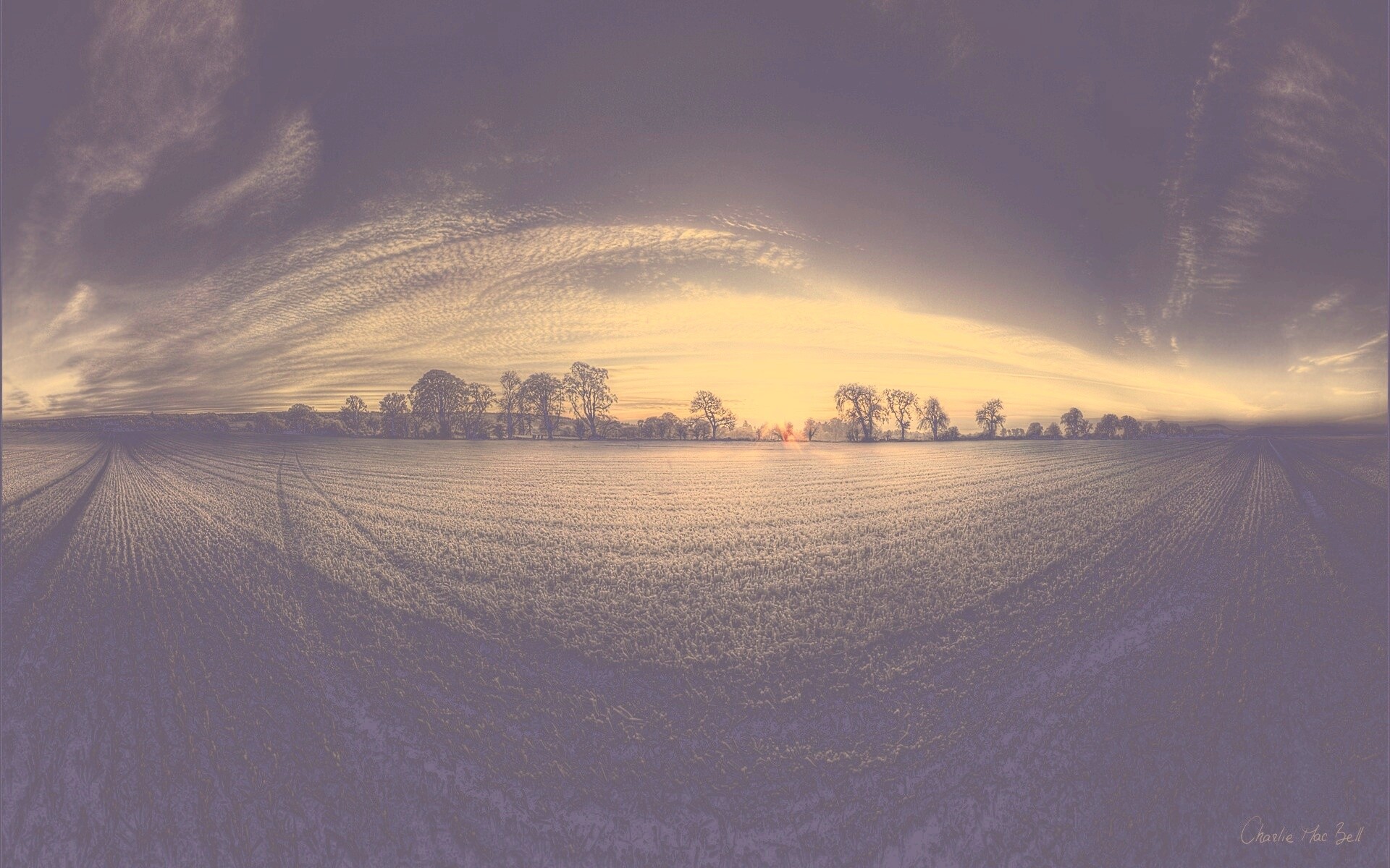 Поле широкоугольным объективом обои