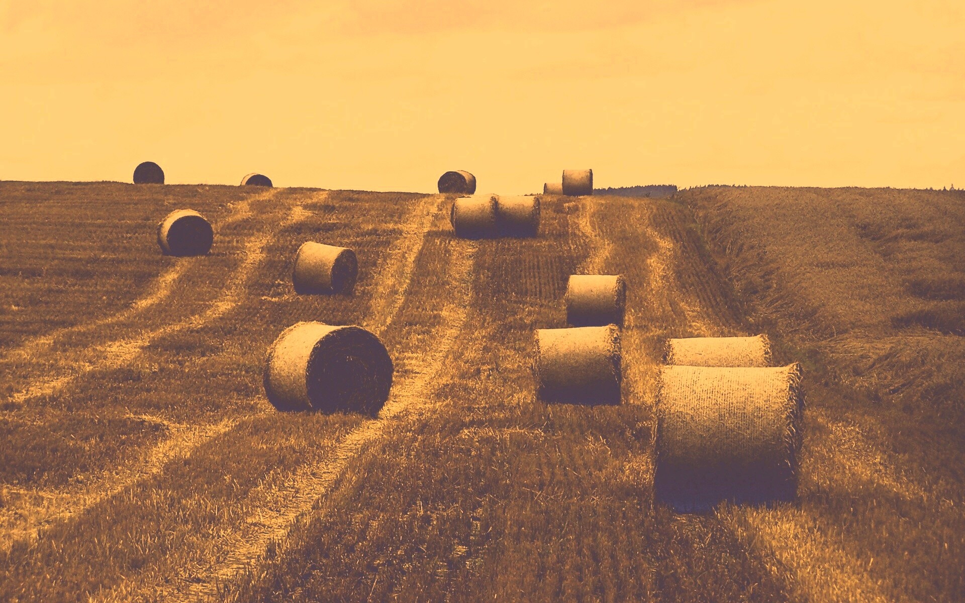 Уборка сена с поля обои