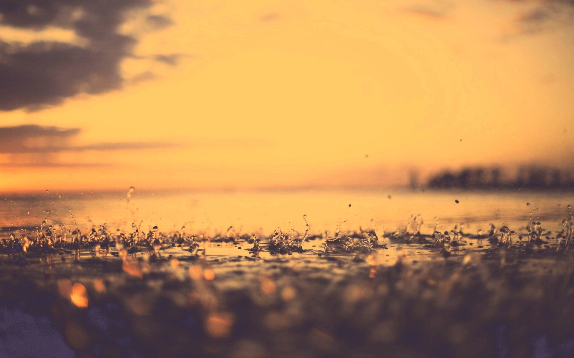 Дождь в макро обои