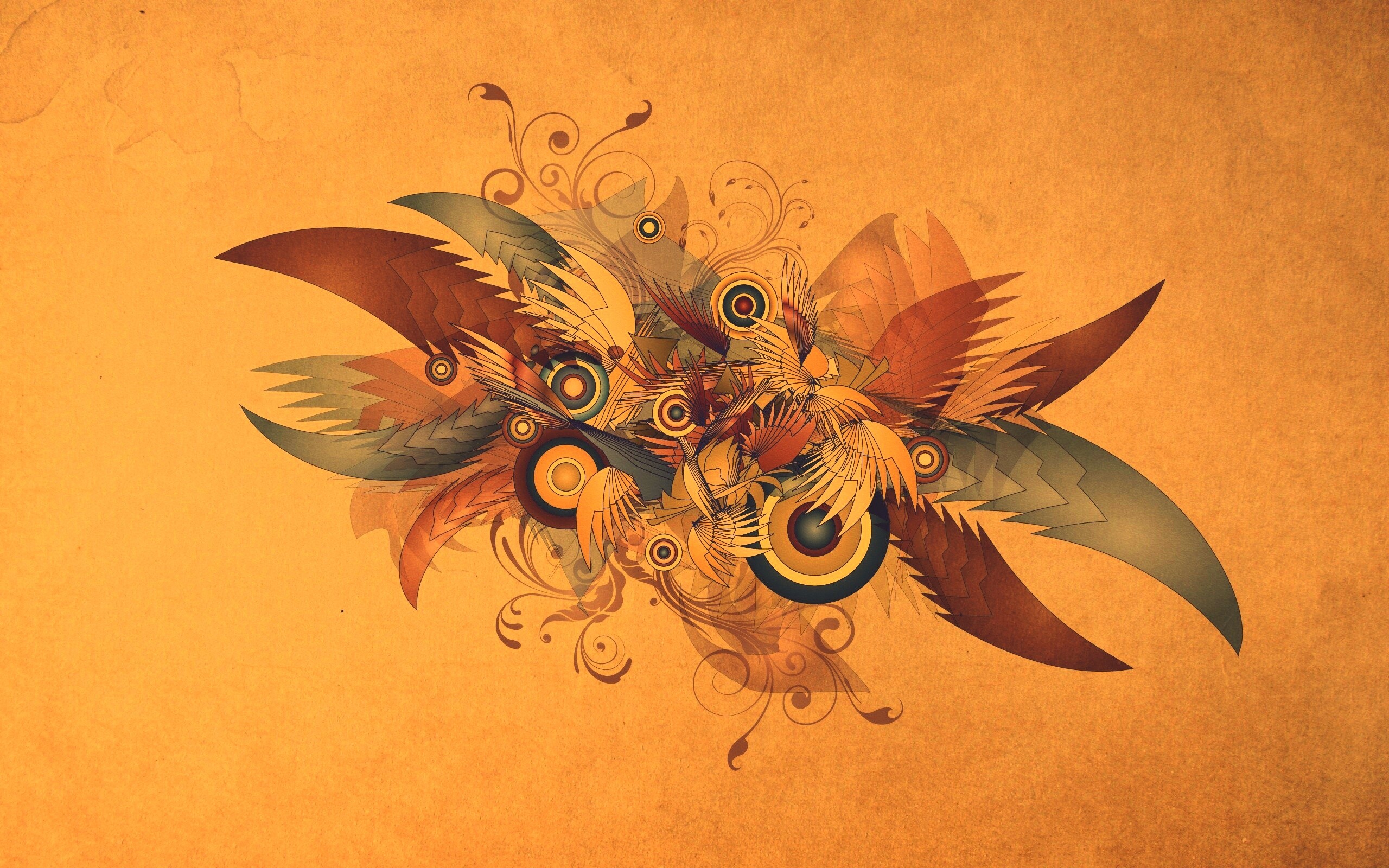 Перья и круги обои