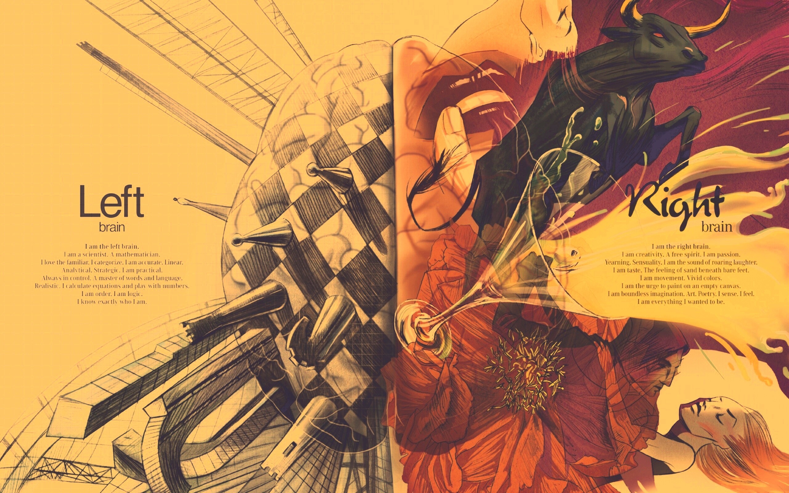 Левая и правая часть мозга обои