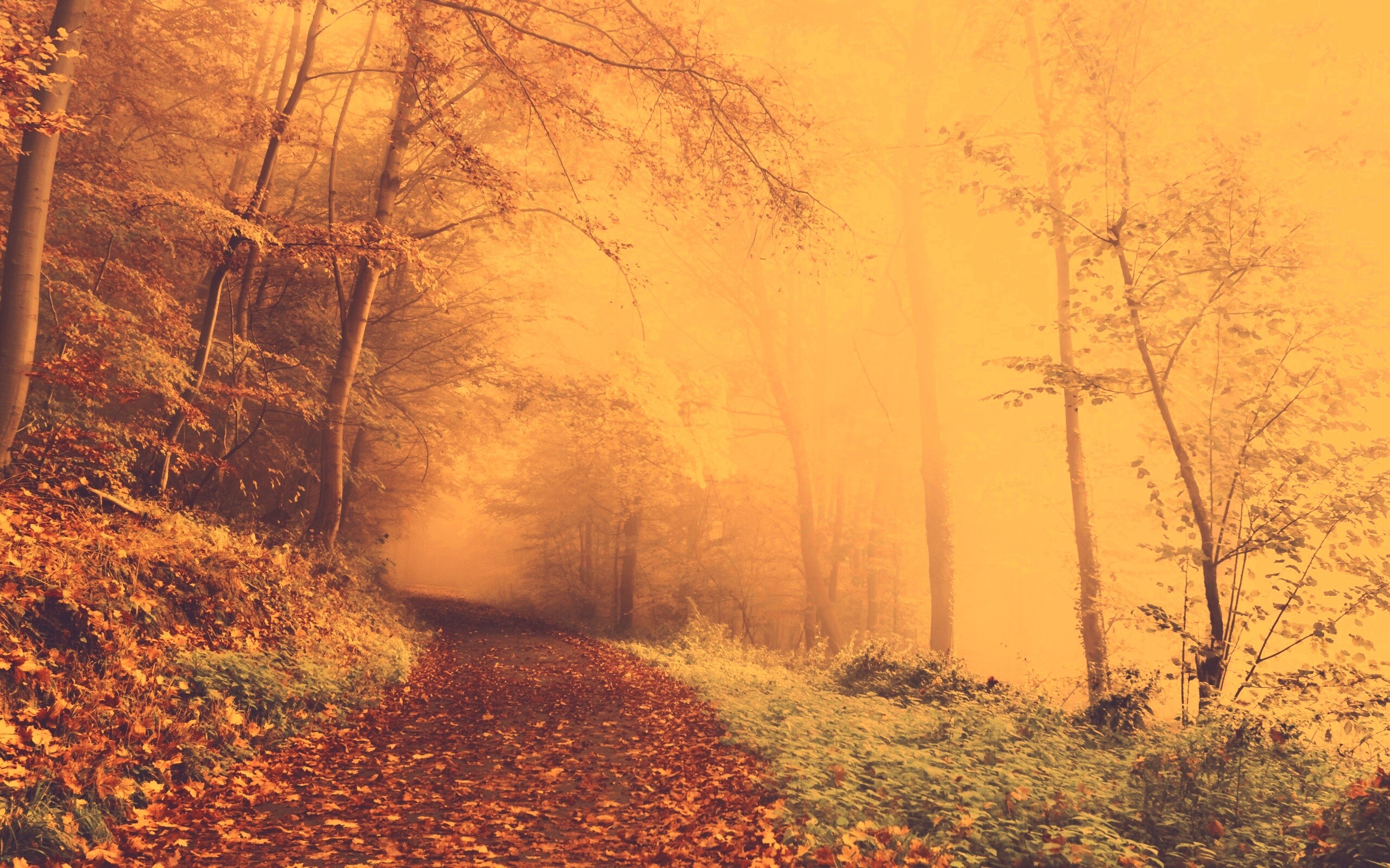 Осенний мистический пейзаж обои