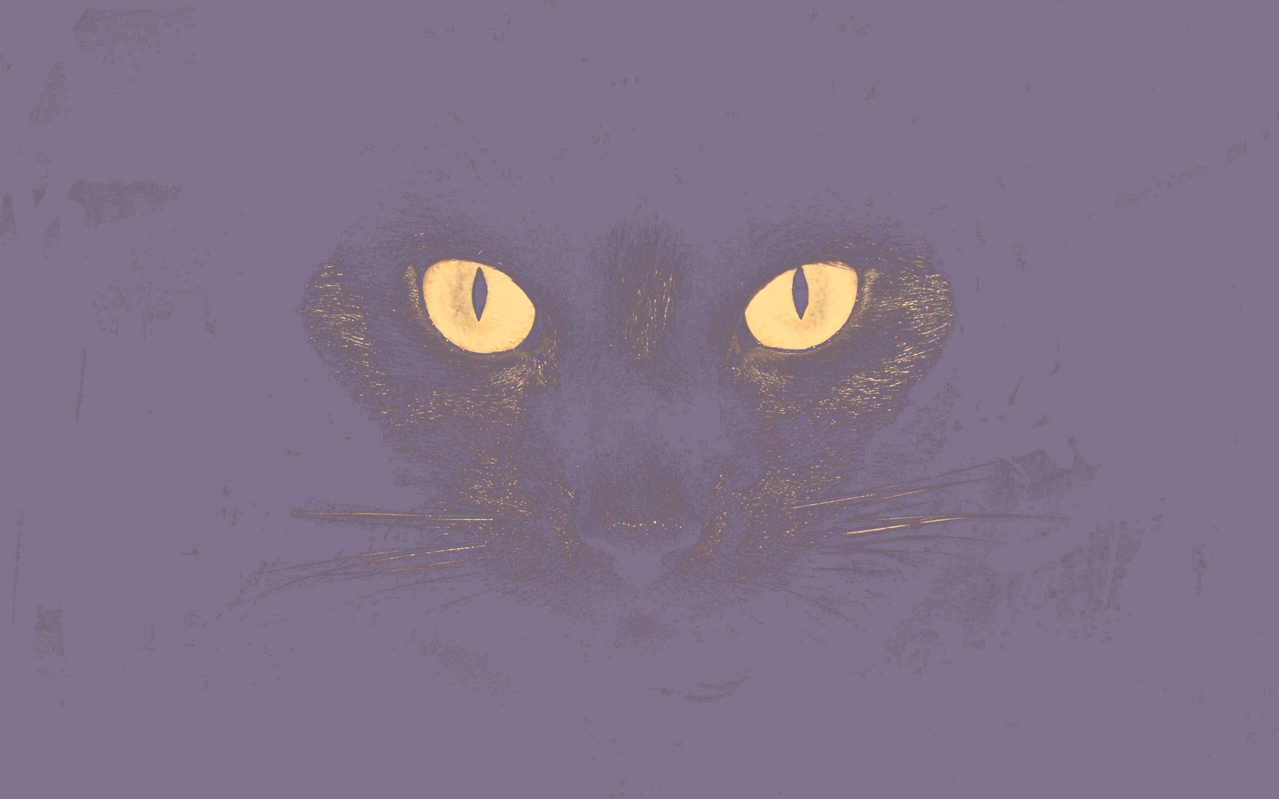 Черный кот обои