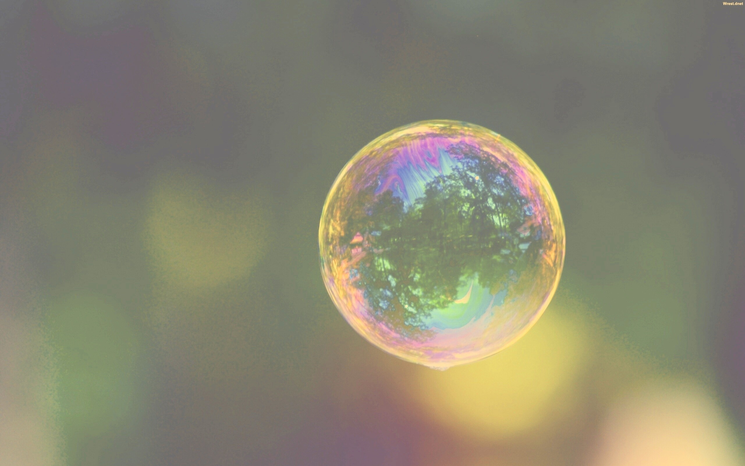 Мыльный пузырь обои