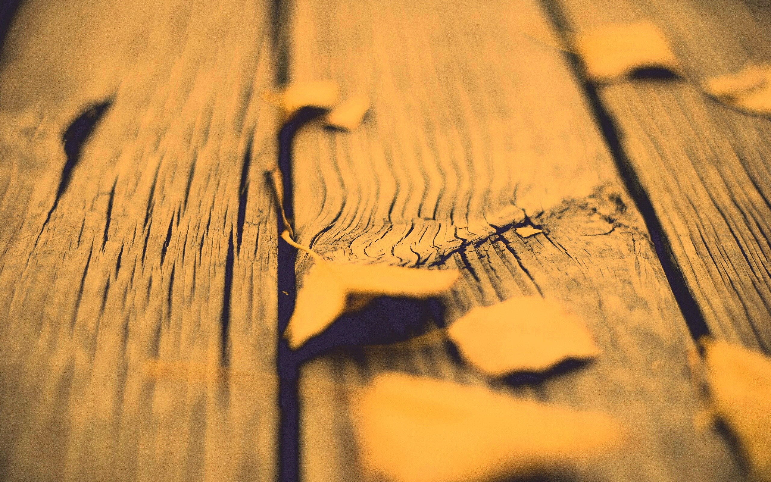 Листья на дощатом полу обои