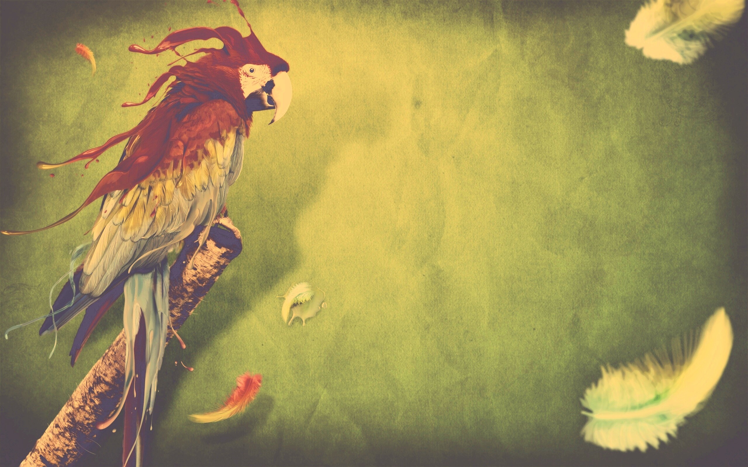 Попугай на ветке обои