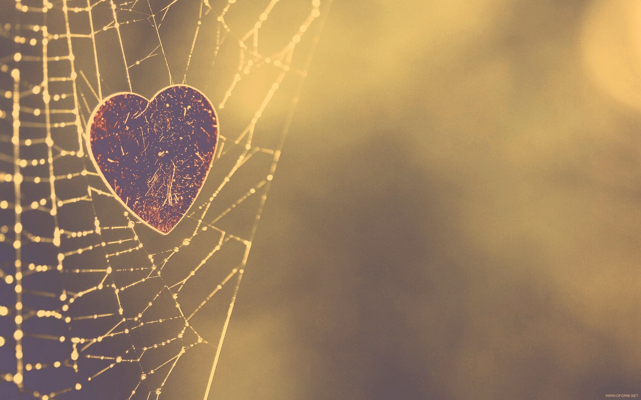 Запутавшаяся любовь.. обои