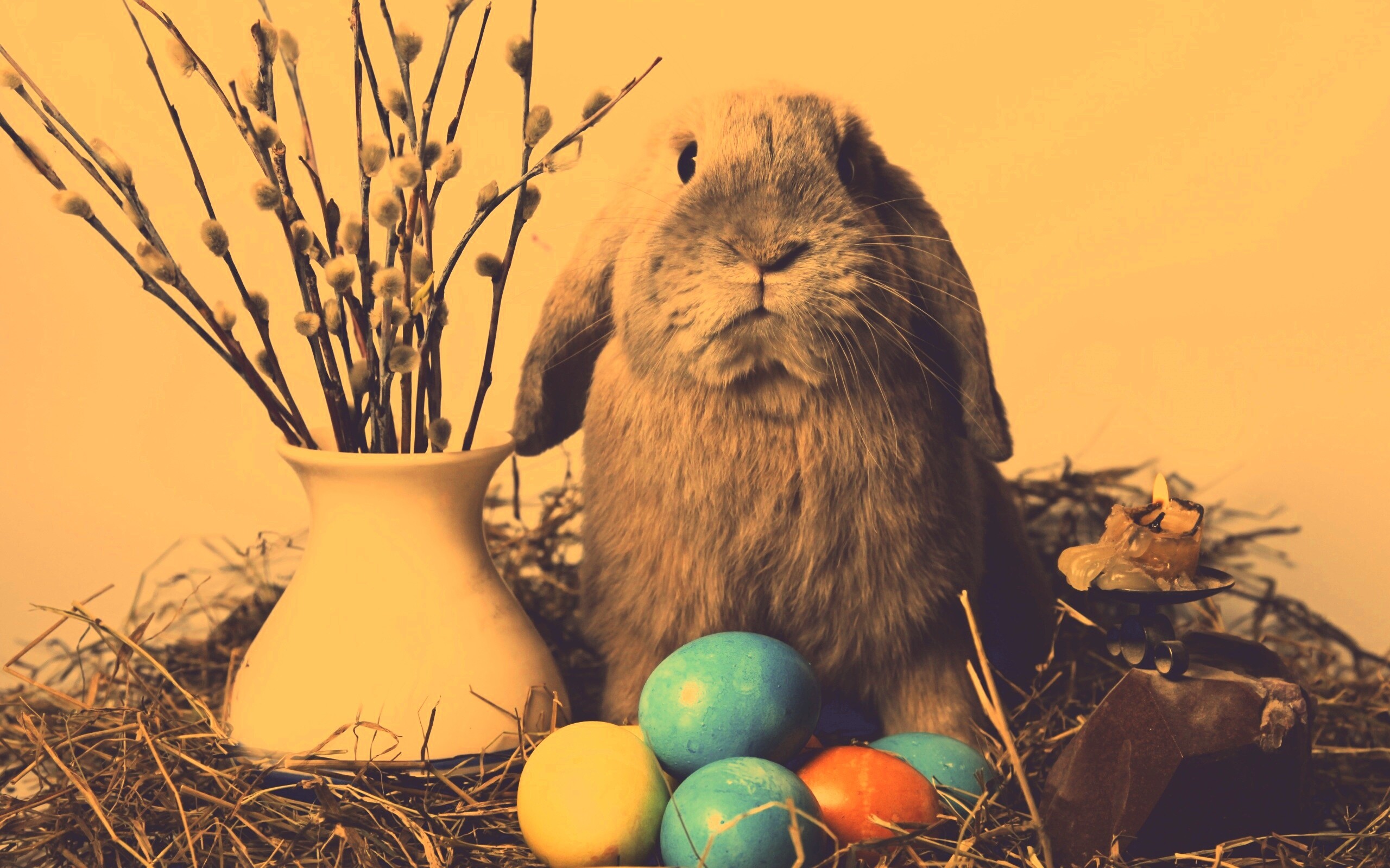 Пасхальный кролик обои